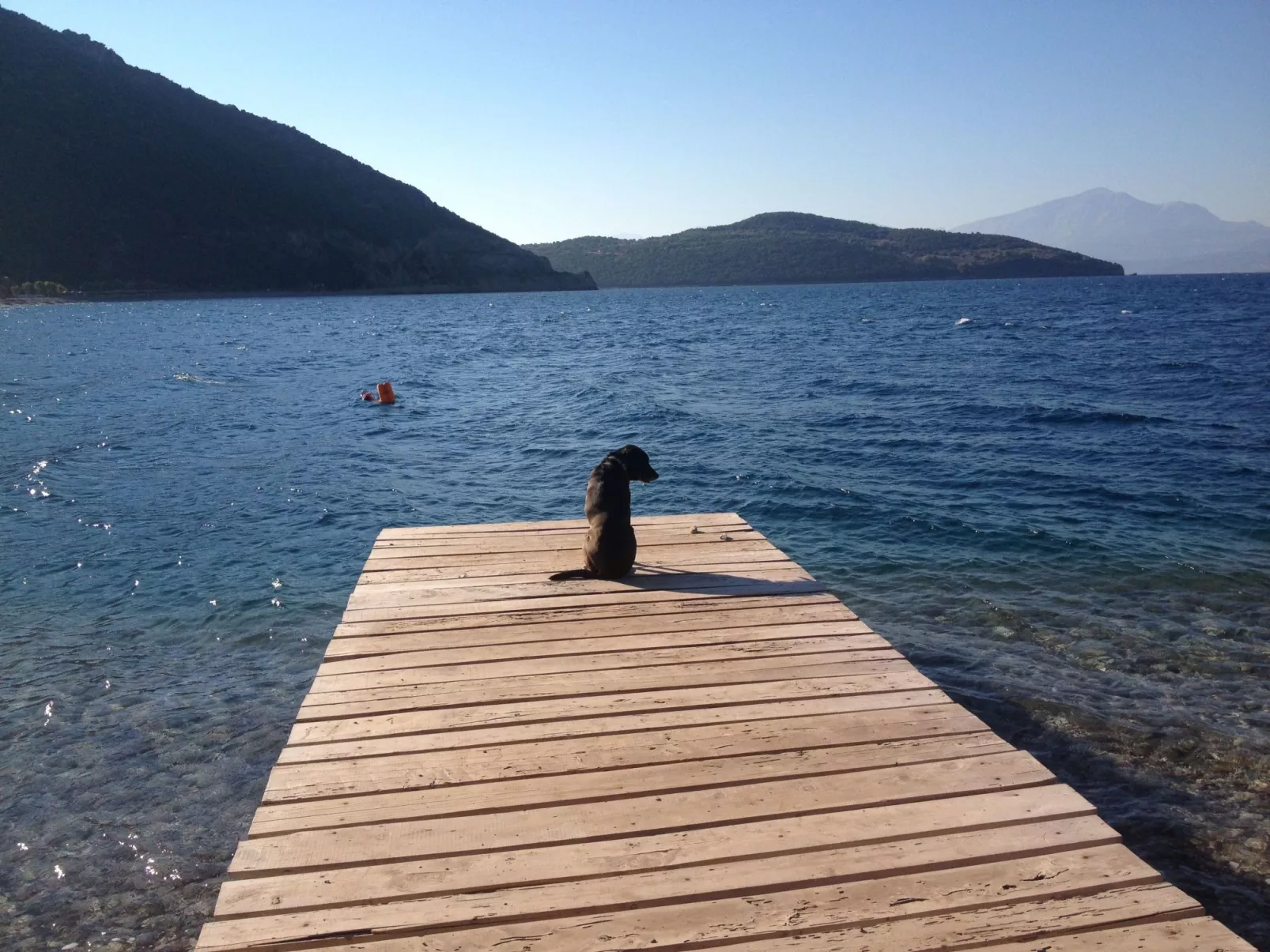 Spiti Louloudia-Image-tags.info