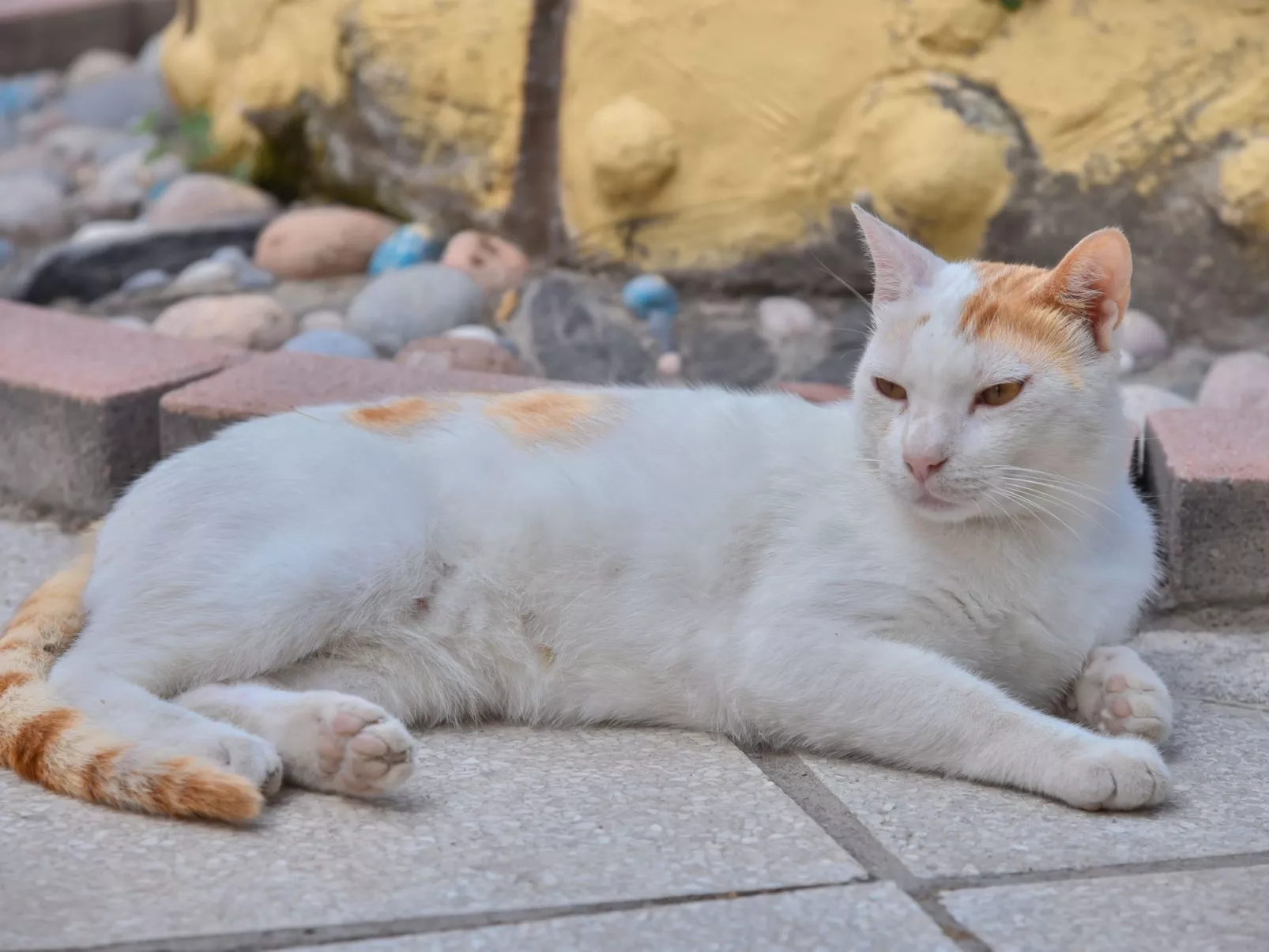 Gorgona Apt - Ihr Traum-1-BDR-Ferienhaus-Buiten