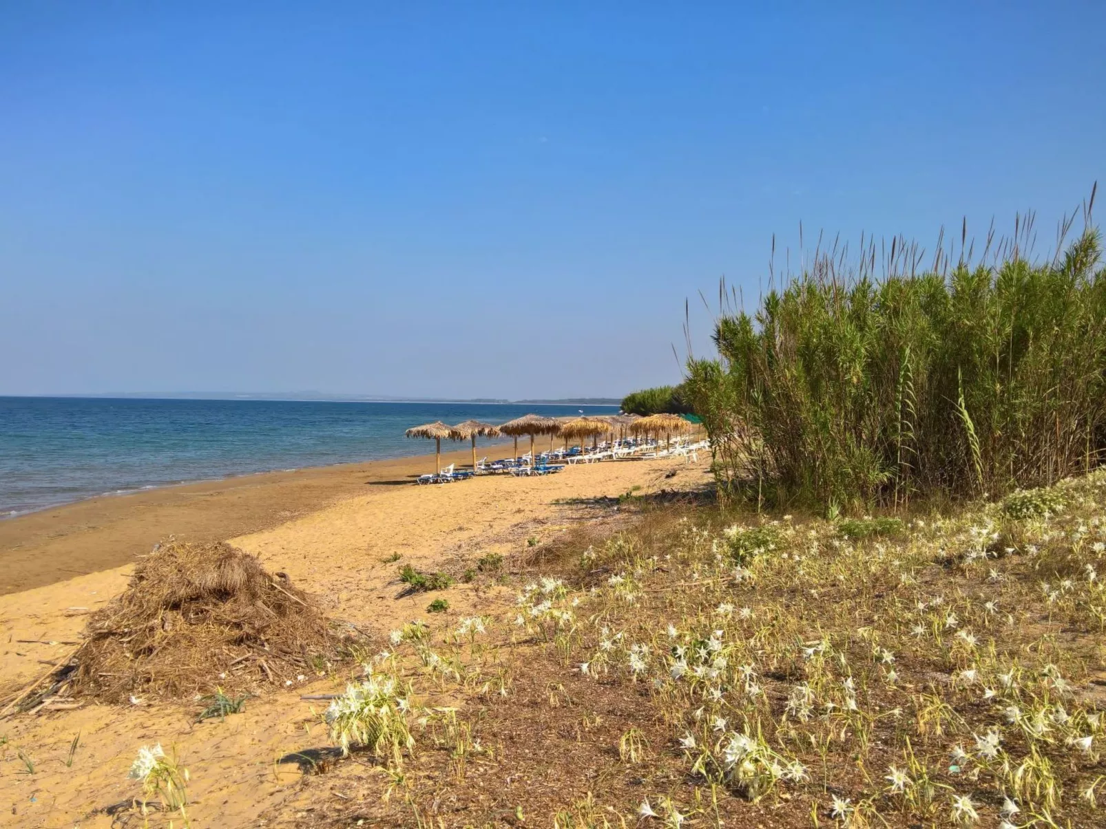 White Villas PPV-Buiten