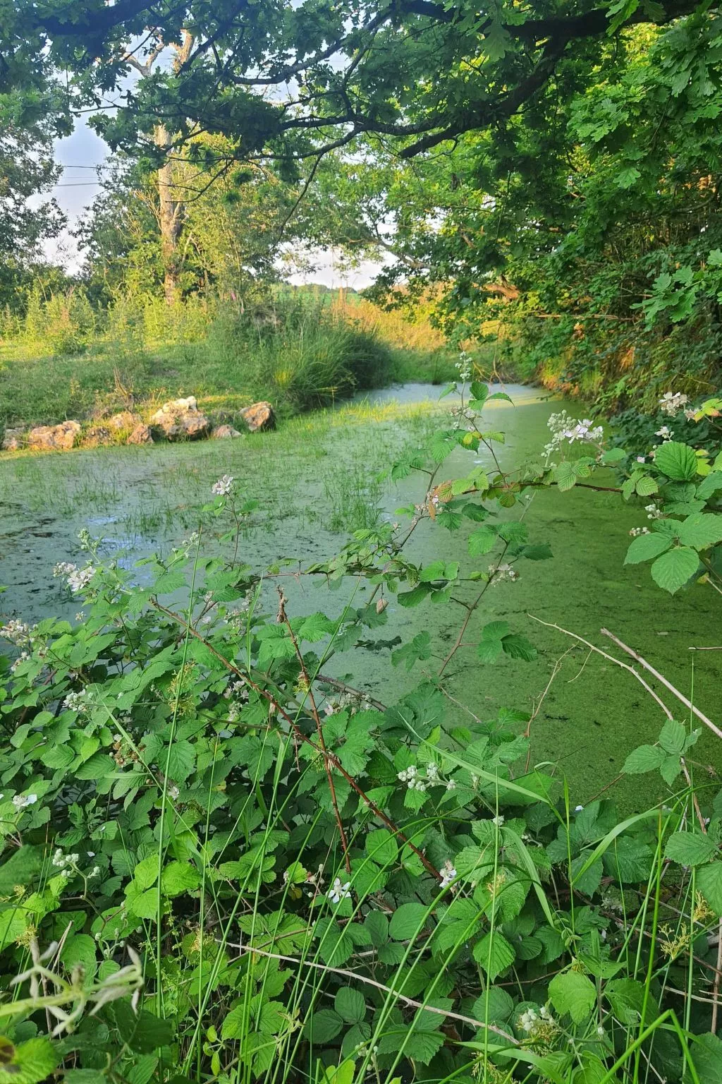 Le Pressoir de mon Père vor den Toren von Honfleur