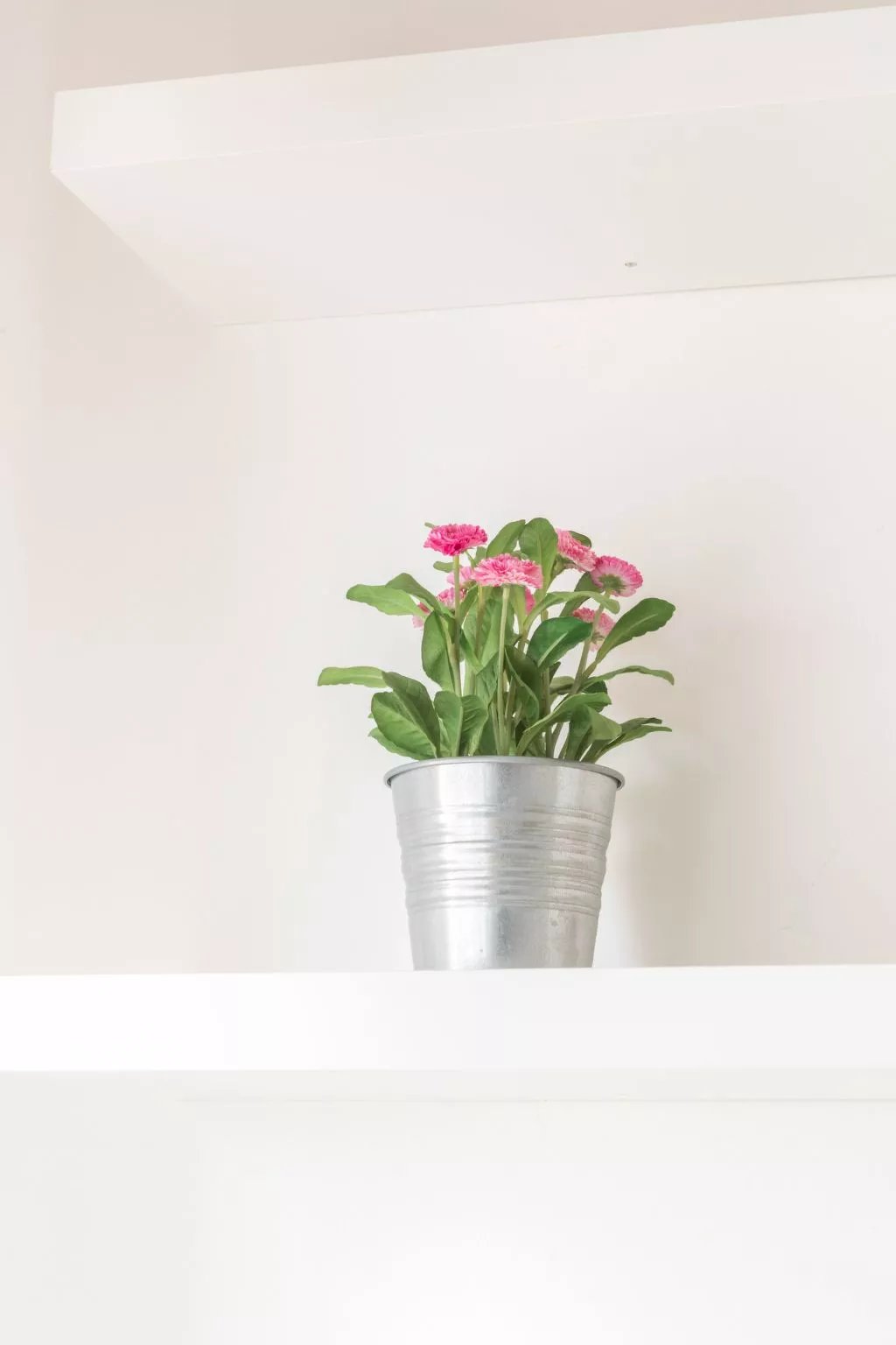 Wohnung 'Cappuccino 36' mit Terrasse-Binnen