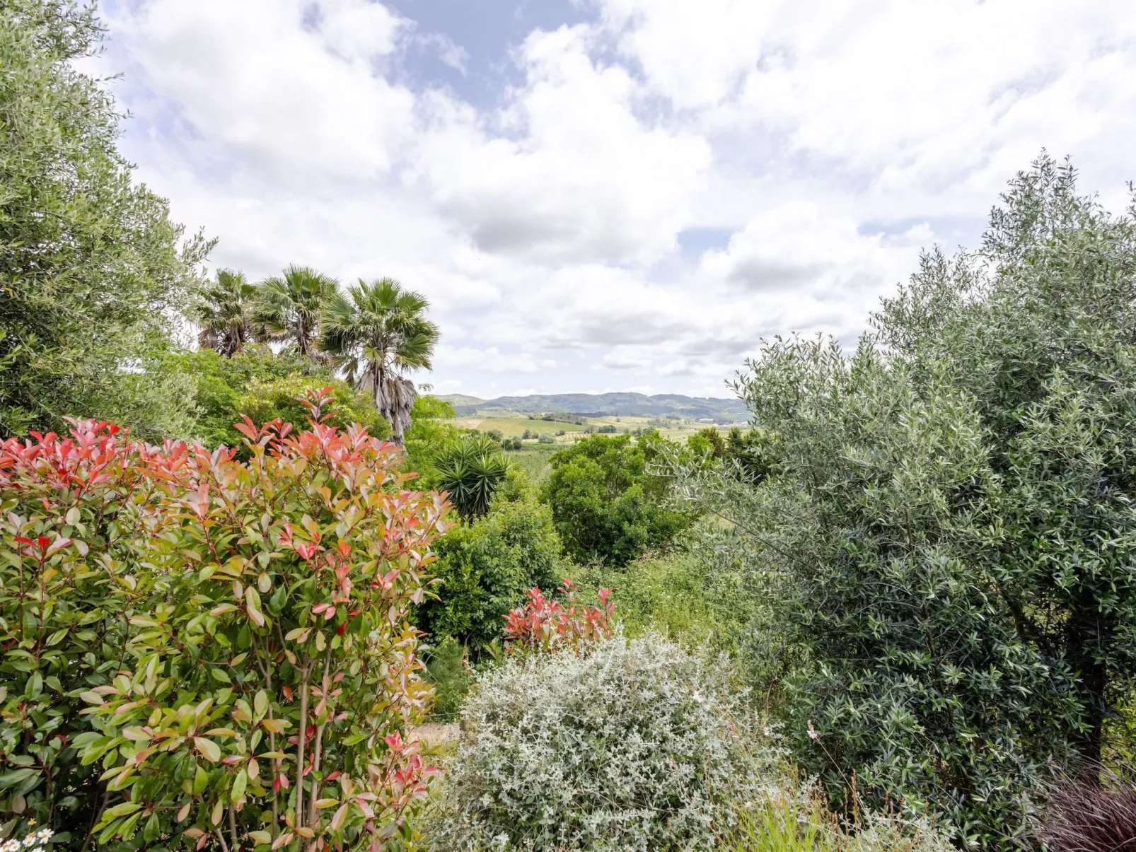 "TwinVilla Silberküste"-Buiten