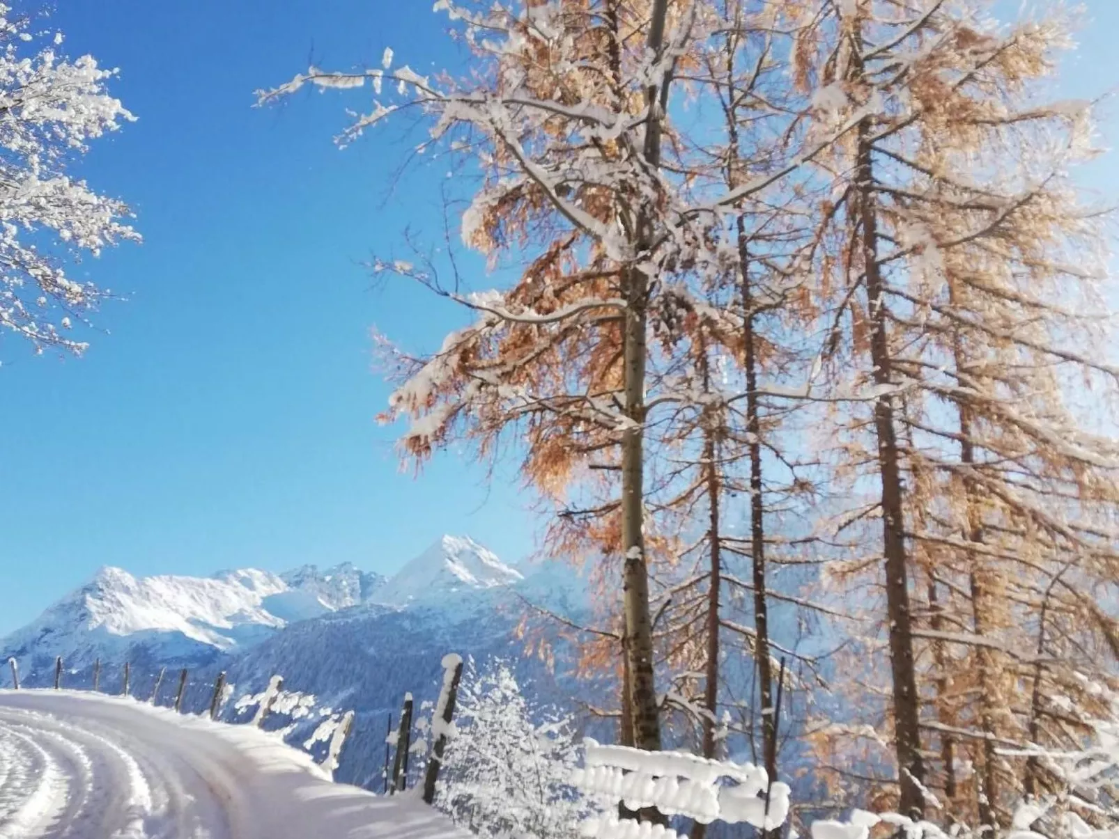 Chalet 3 Zi. in ruhiger Lage, in der Nähe von Verbier-Buiten