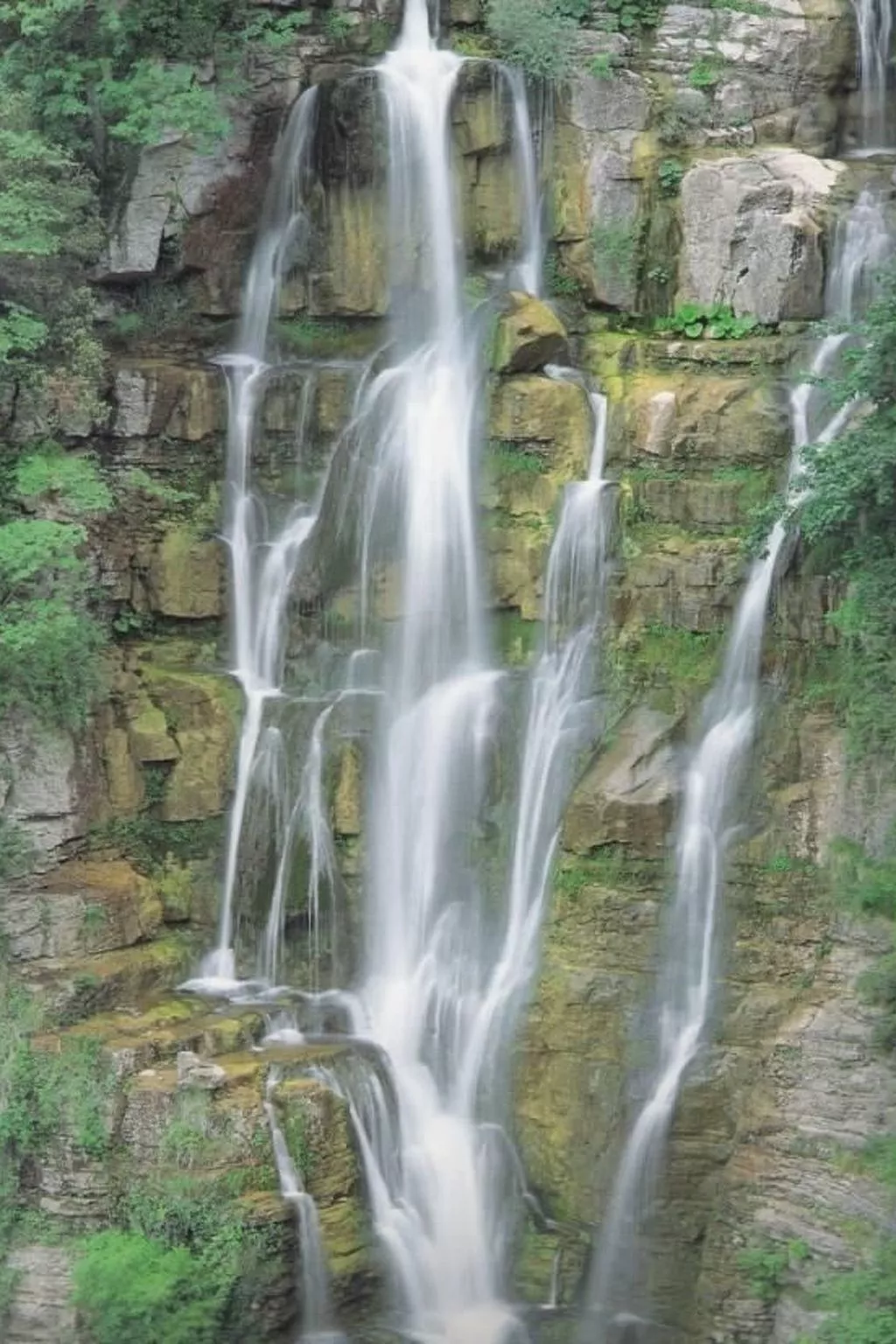 Das Maulbeerbaum-Apartment-Buiten