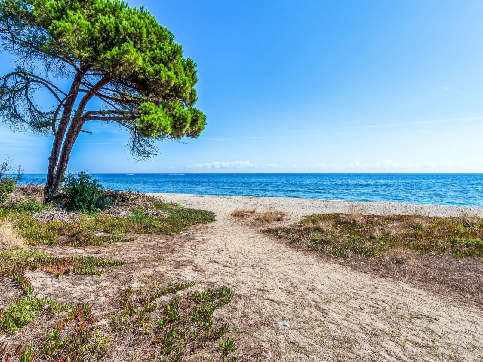 Weingut Punta della guardia zwischen Meer und Gebirge