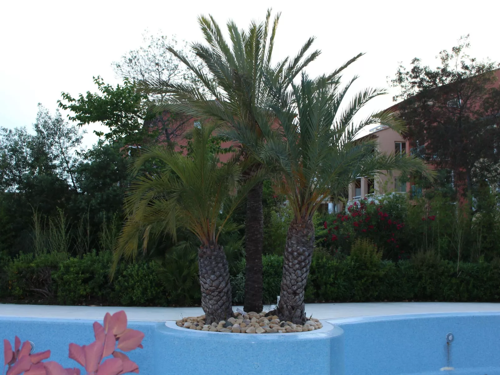 Französische Riviera - Les Issambres T2 für 4 Personen am Meer-Image-tags.info