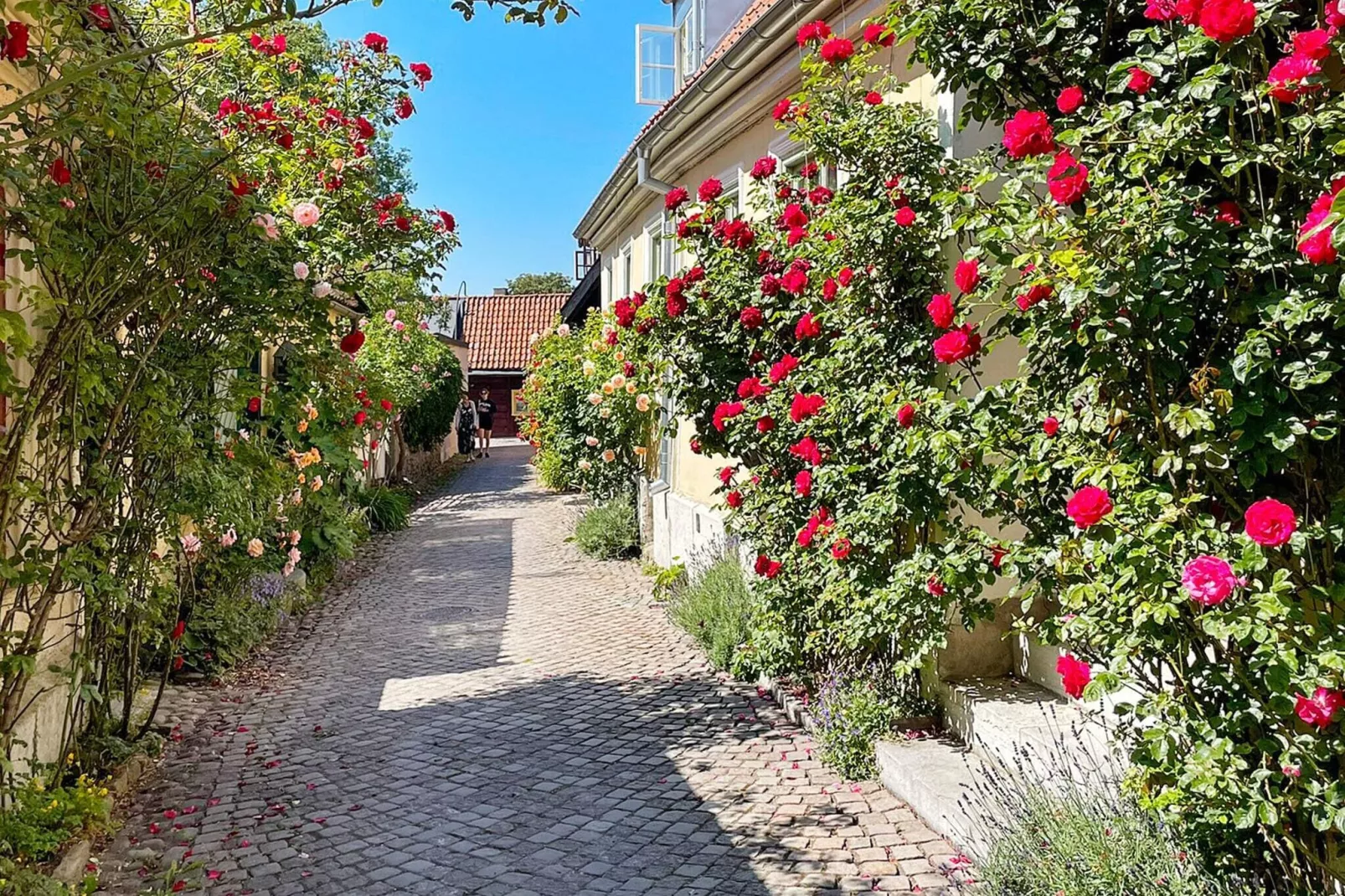 4 sterren vakantie huis in Klintehamn-By Traum-Niet-getagd