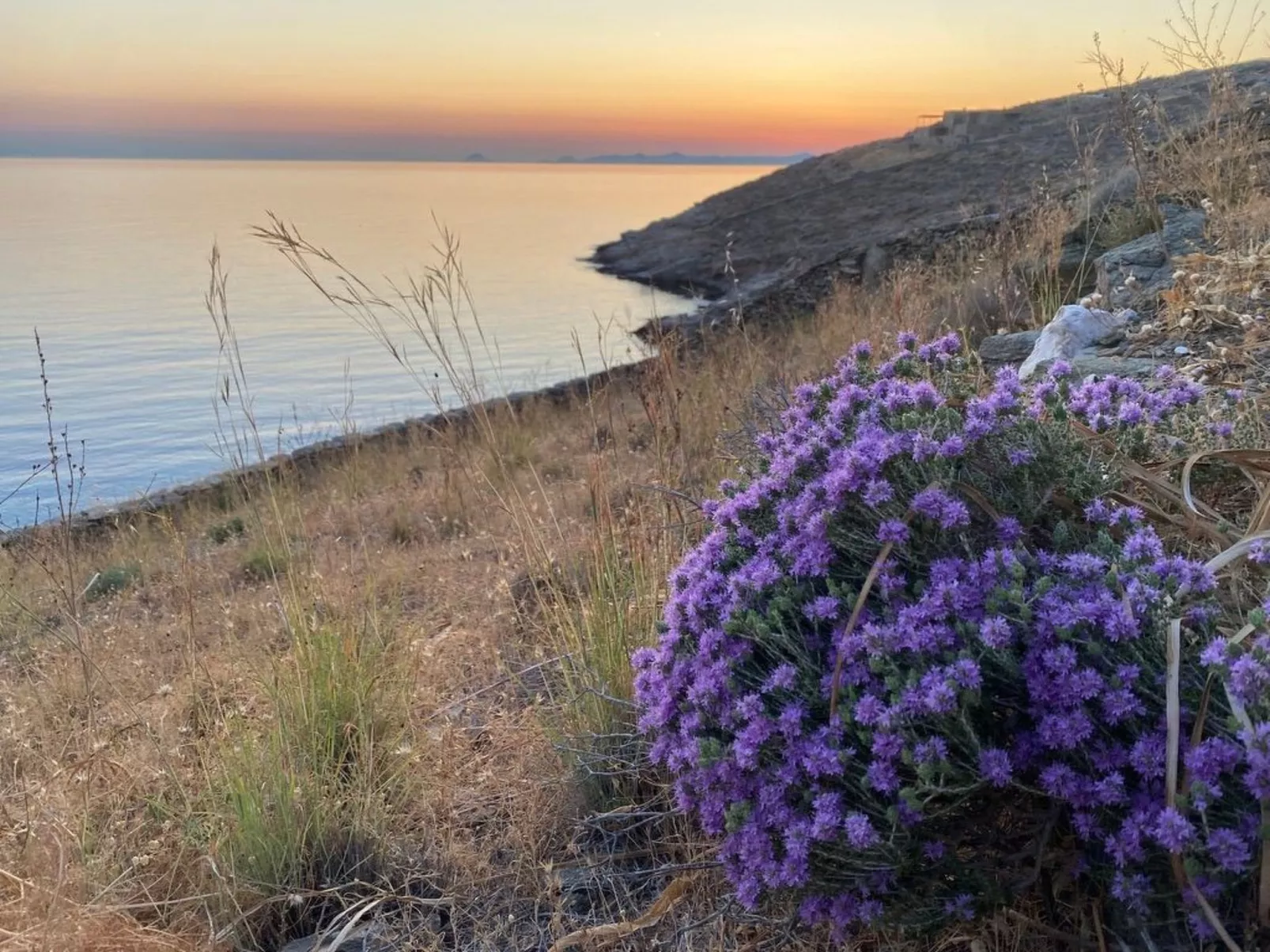 Strandhaus mit atemberaubender Aussicht-Buiten
