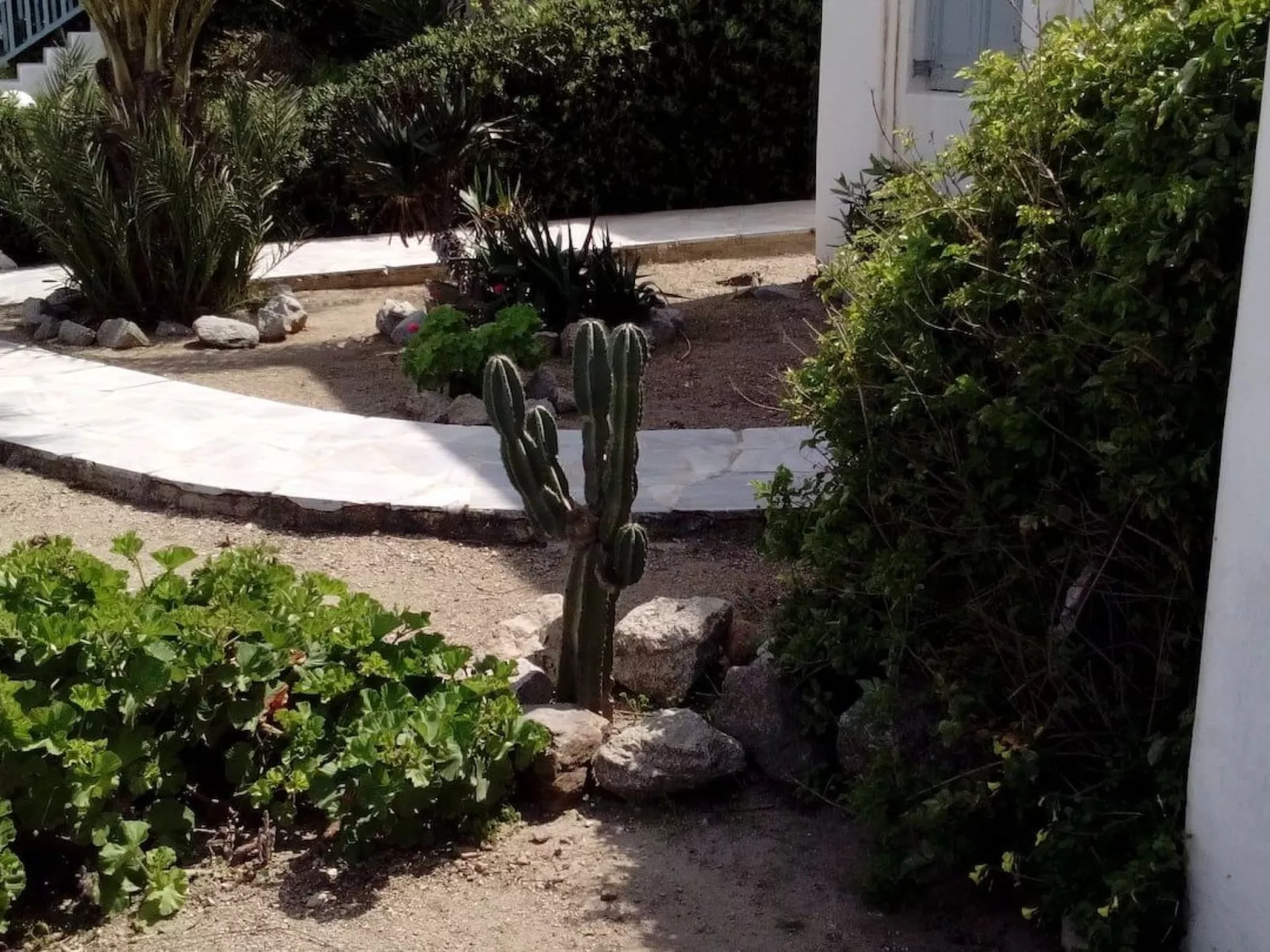 "Mykonian Aroma" mit Pool-Buiten