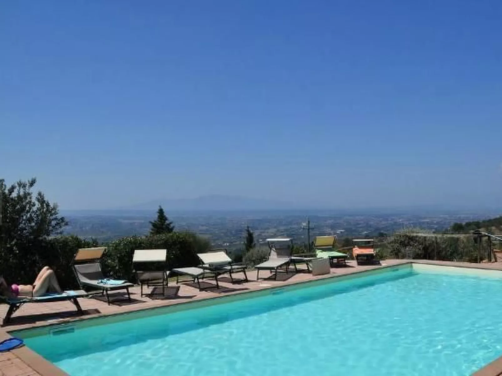 Leonardo in Vitolini