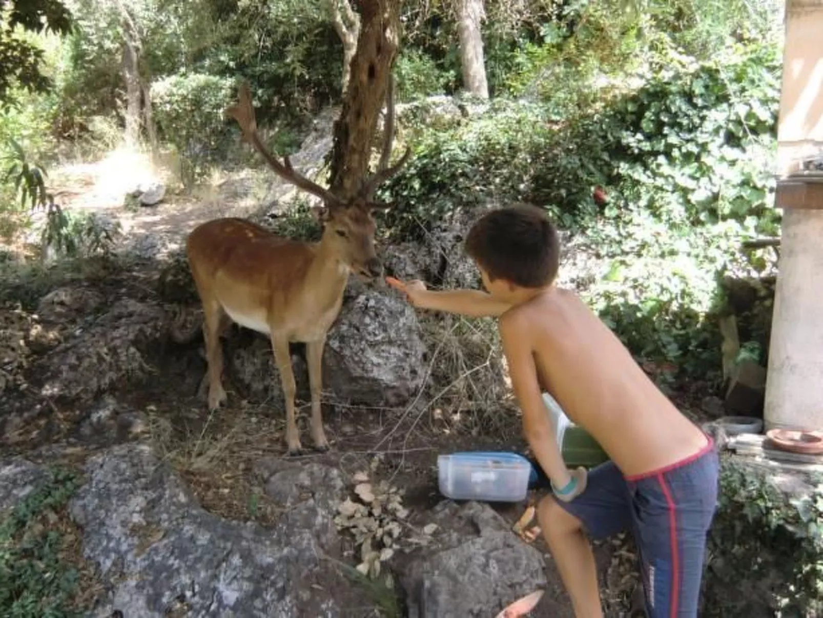 Villa Paradisino Zwei-Zimmer-Wohnung Orbetello Beach-Image-tags.info