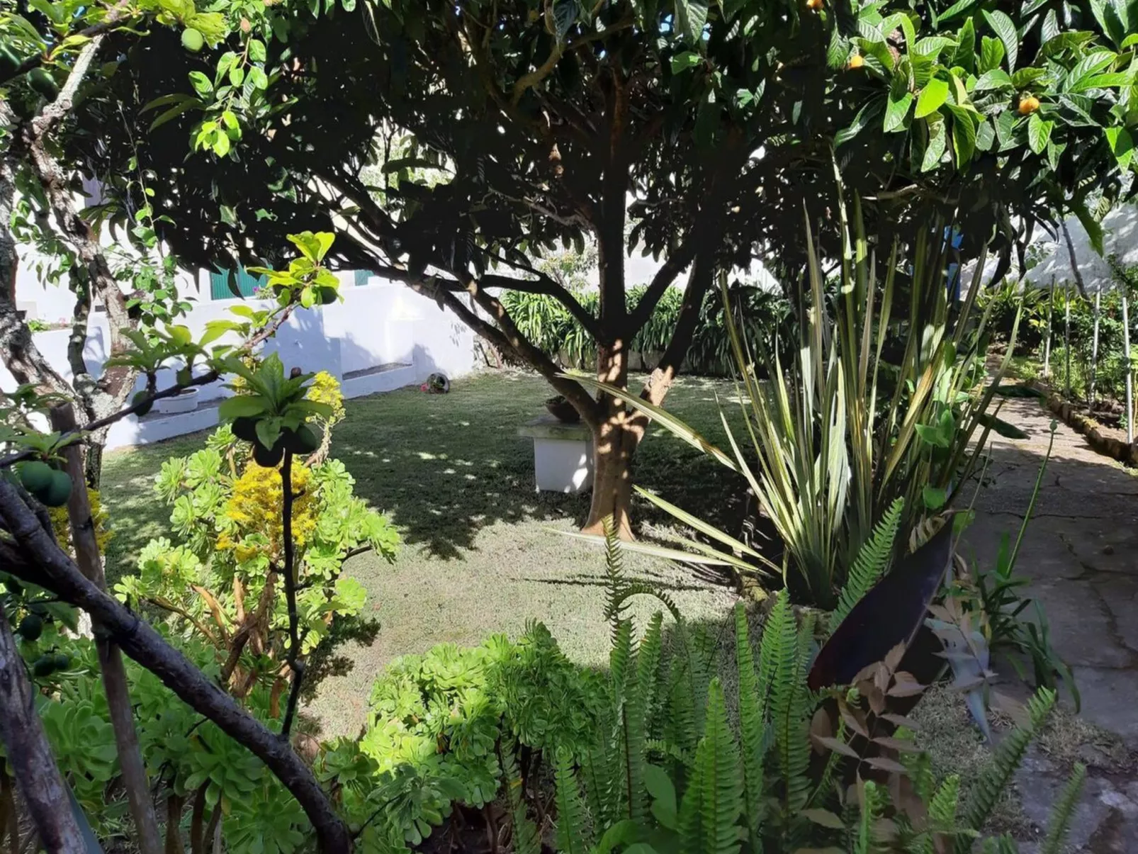 Historisches Haus in der Nähe des historischen Dorfes von Óbidos-Buiten