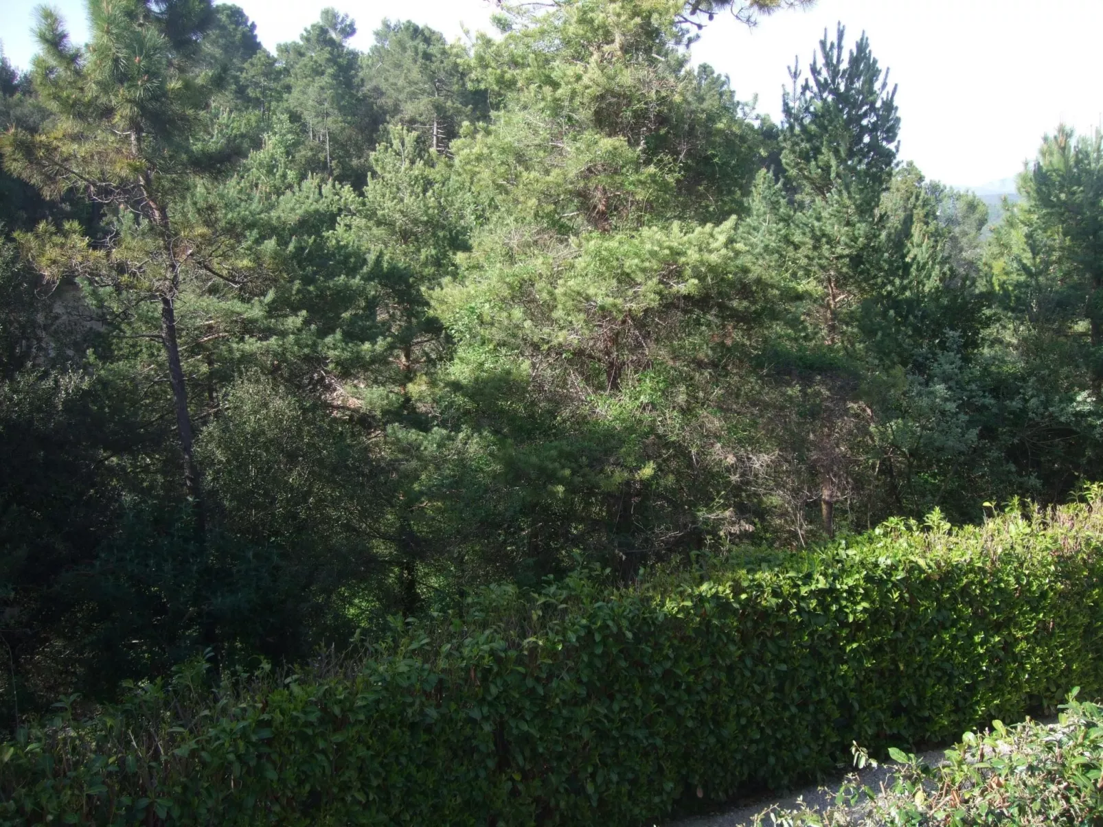 Klimatisierte Wohnung mit Garten-Buiten