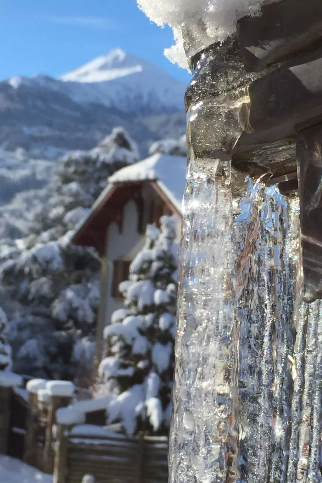 Für 8 Personen und 4 Kinder