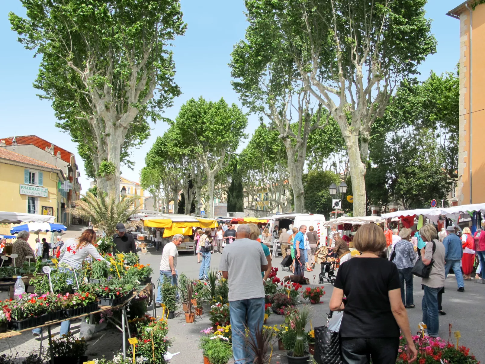 Villa mit Garten, Grill und Terrasse - Omgeving
