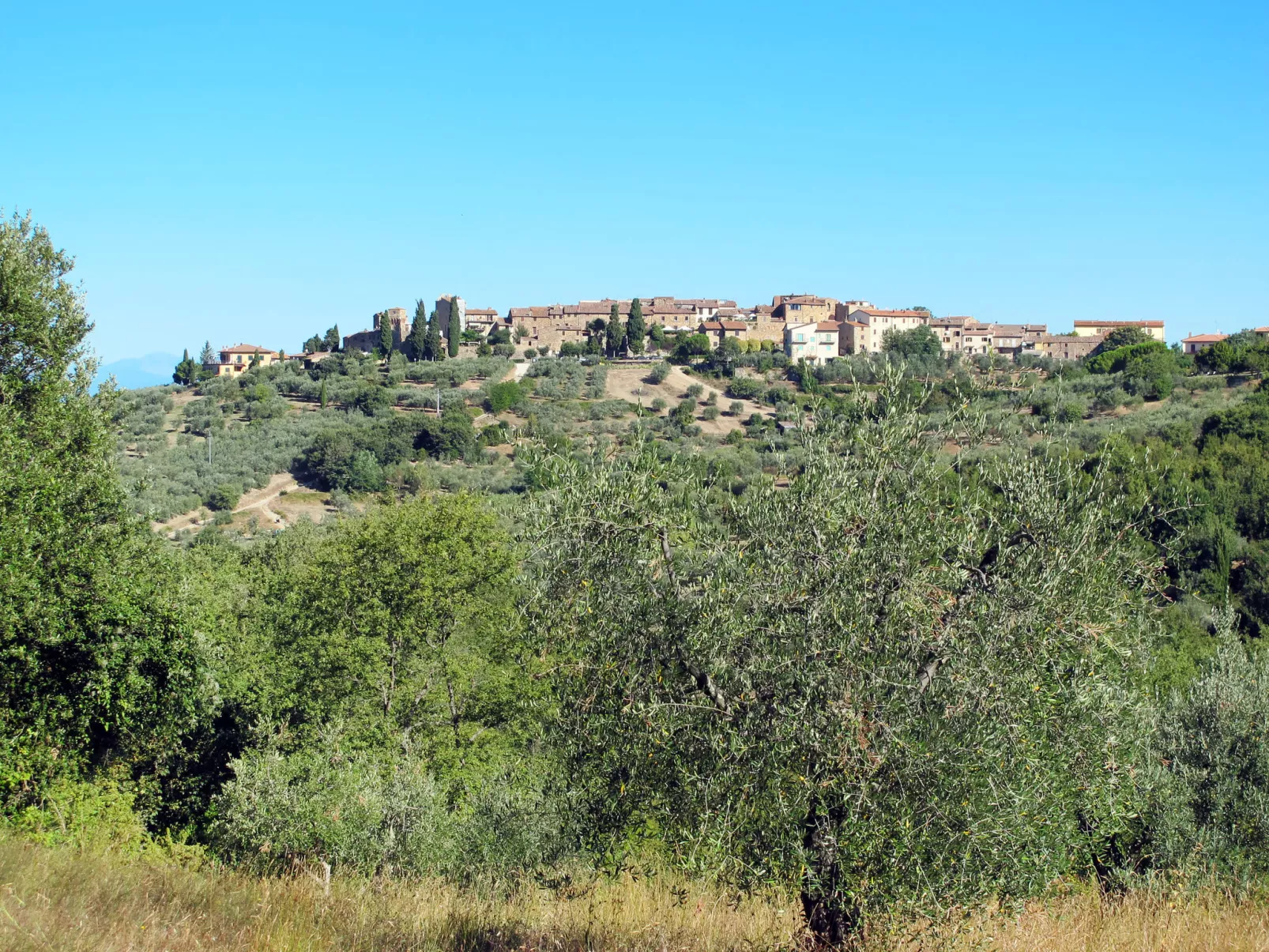 Chianti-Wohnung mit Gemeinschaftspool-Omgeving