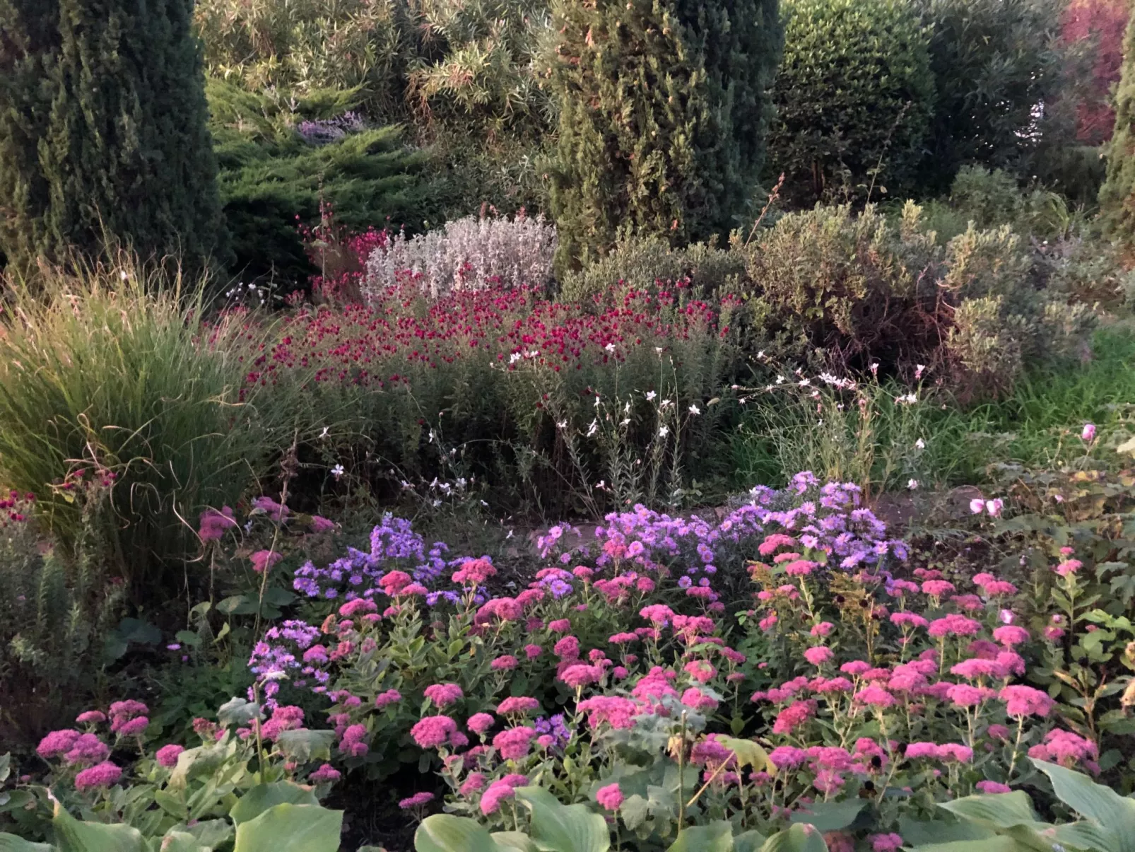 Podere Campolungo - Lo Studio-Buiten