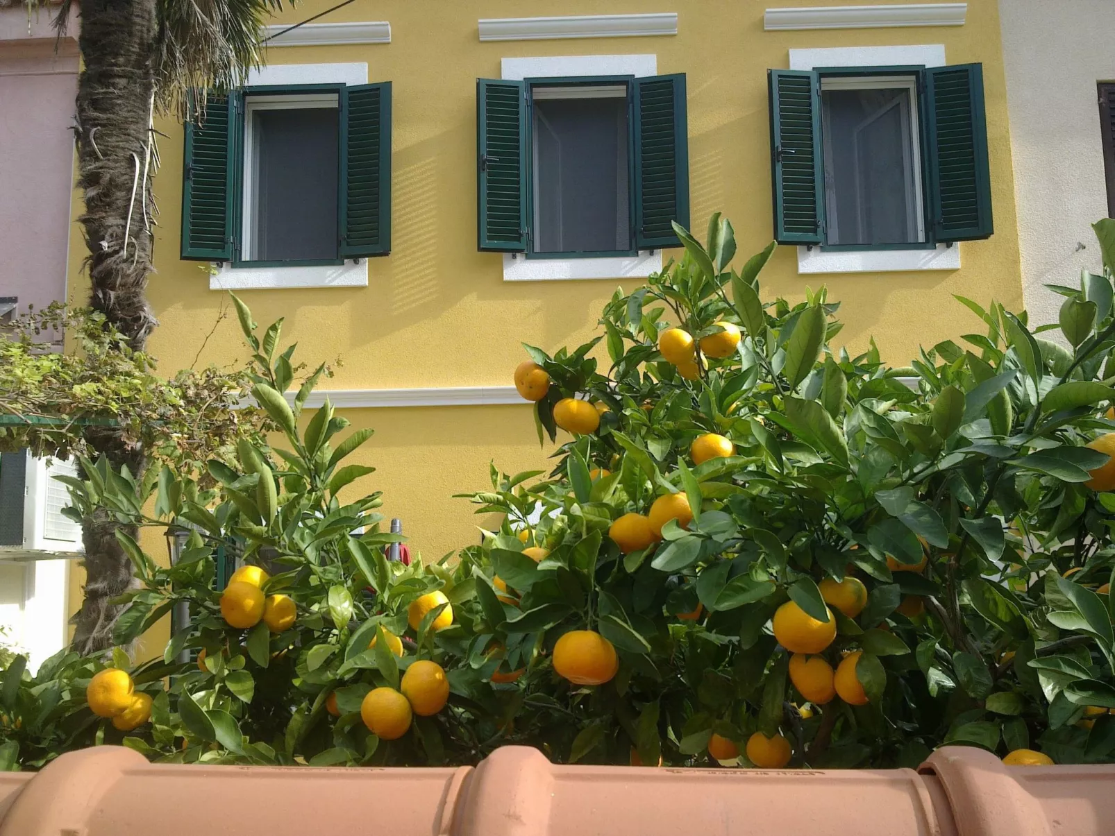 „Kleine Villa Tony“-Buiten