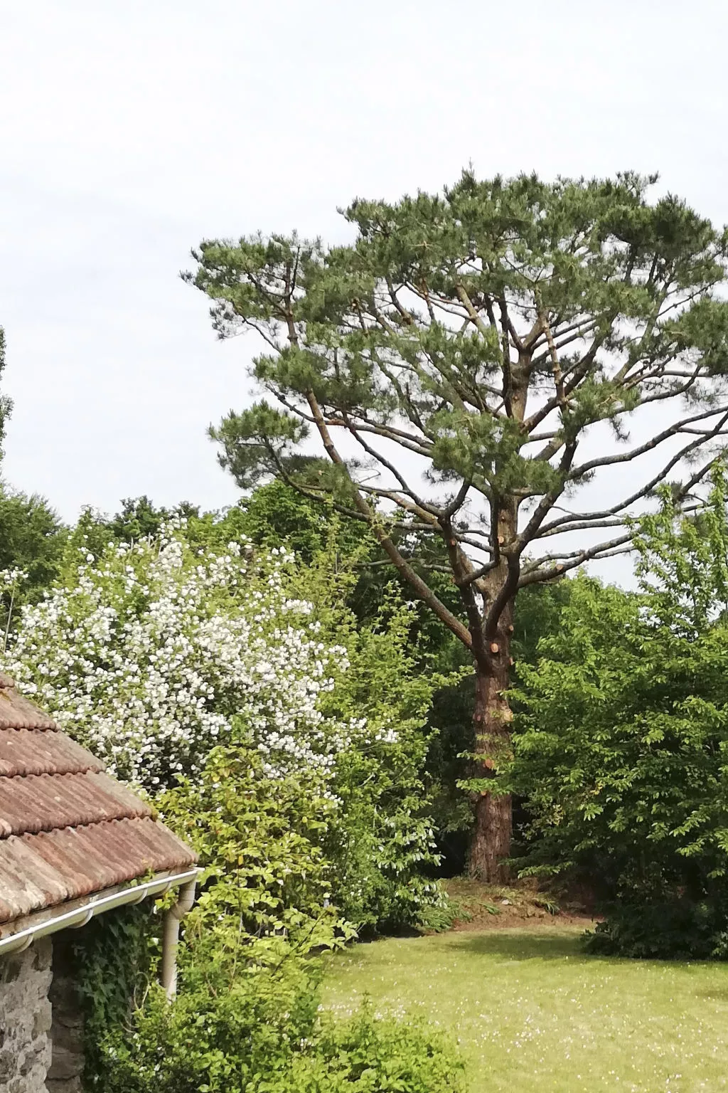 Haus auf der Halbinsel Plougastel-Buiten