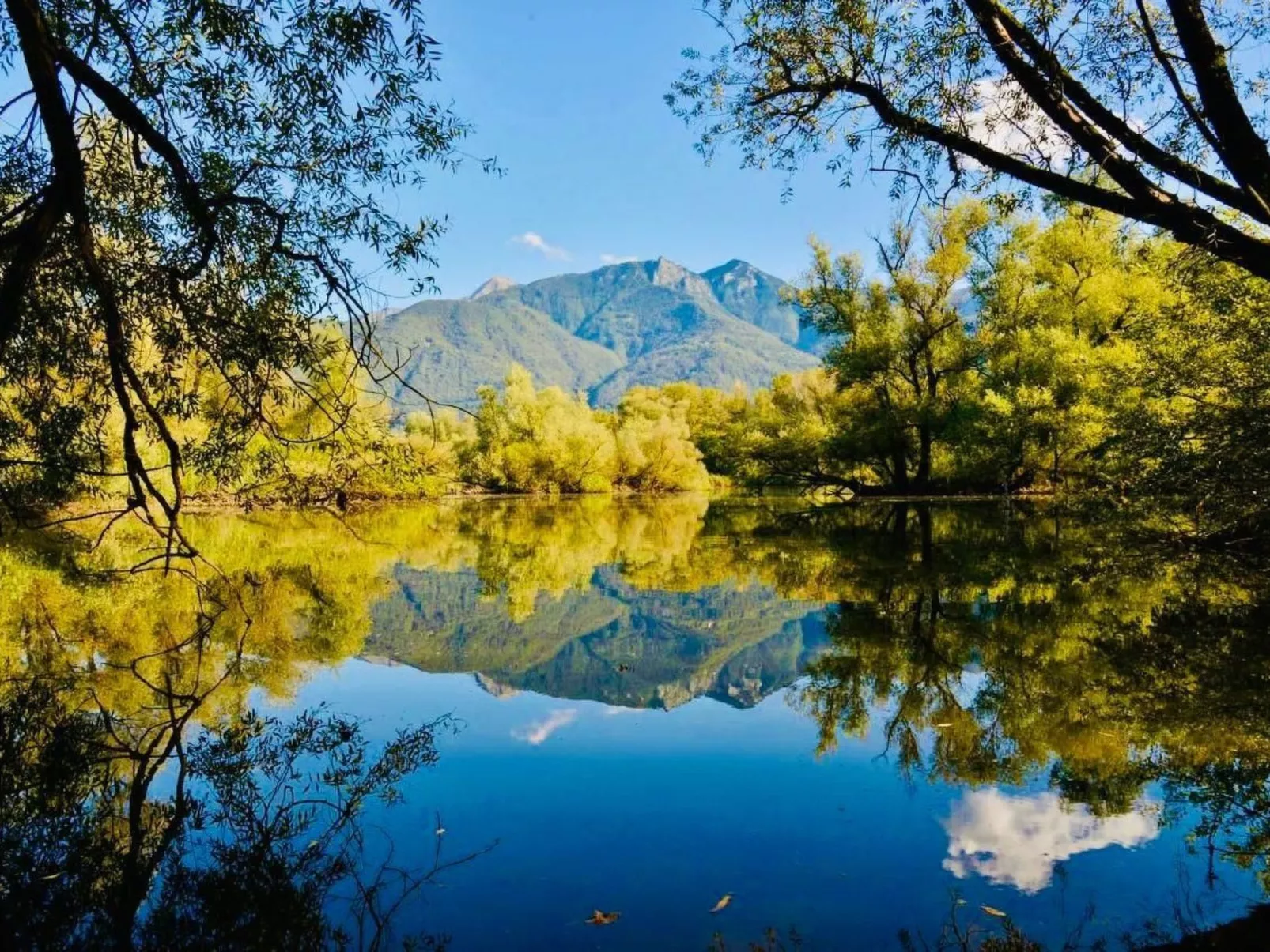 Wohnung 46-Image-tags.info