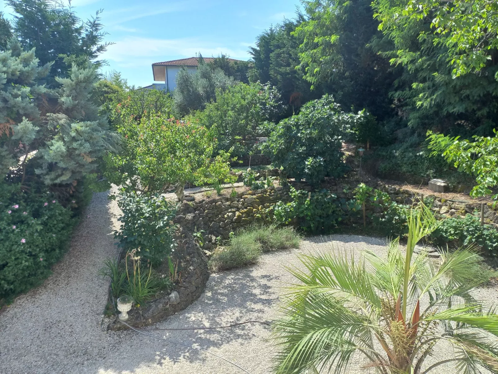 Villa Francesca Appartements-Buiten