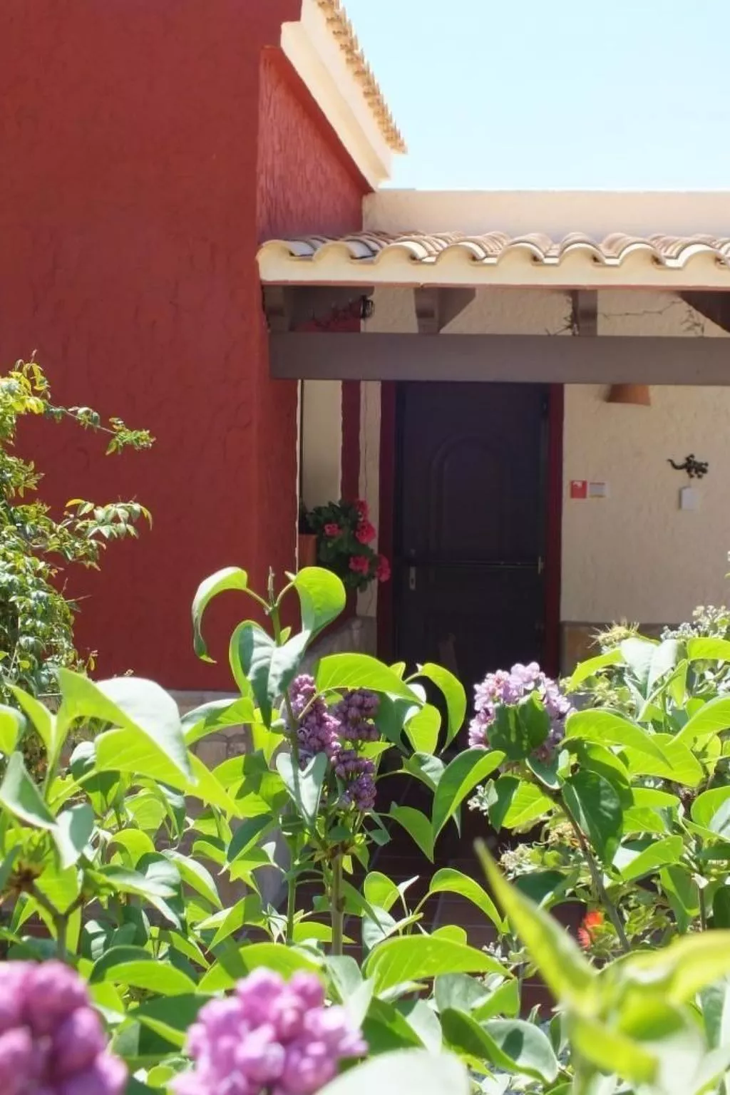 Kleines Landhaus in schöner Umgebung-Buiten