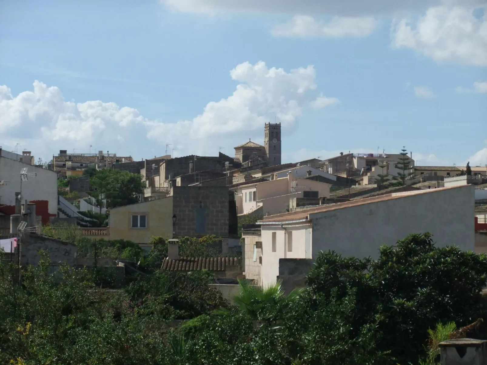 Ribot-Image-tags.info