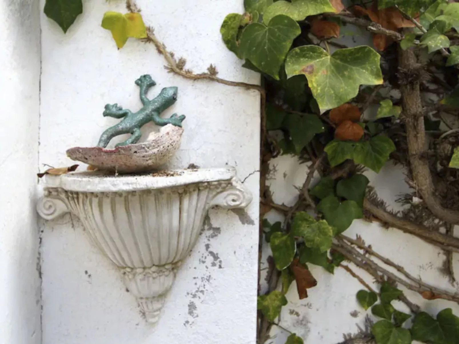 Casa Buganvilla-Buiten