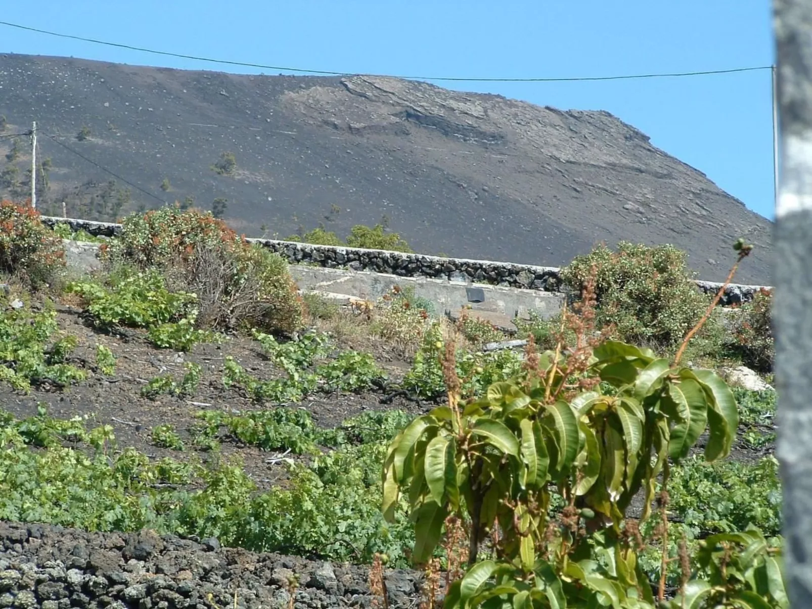 "Las Viñas" mit Wasserblick