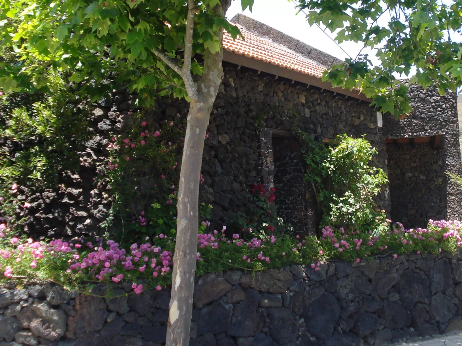 Traditionelles kanarisches Landhaus-Buiten