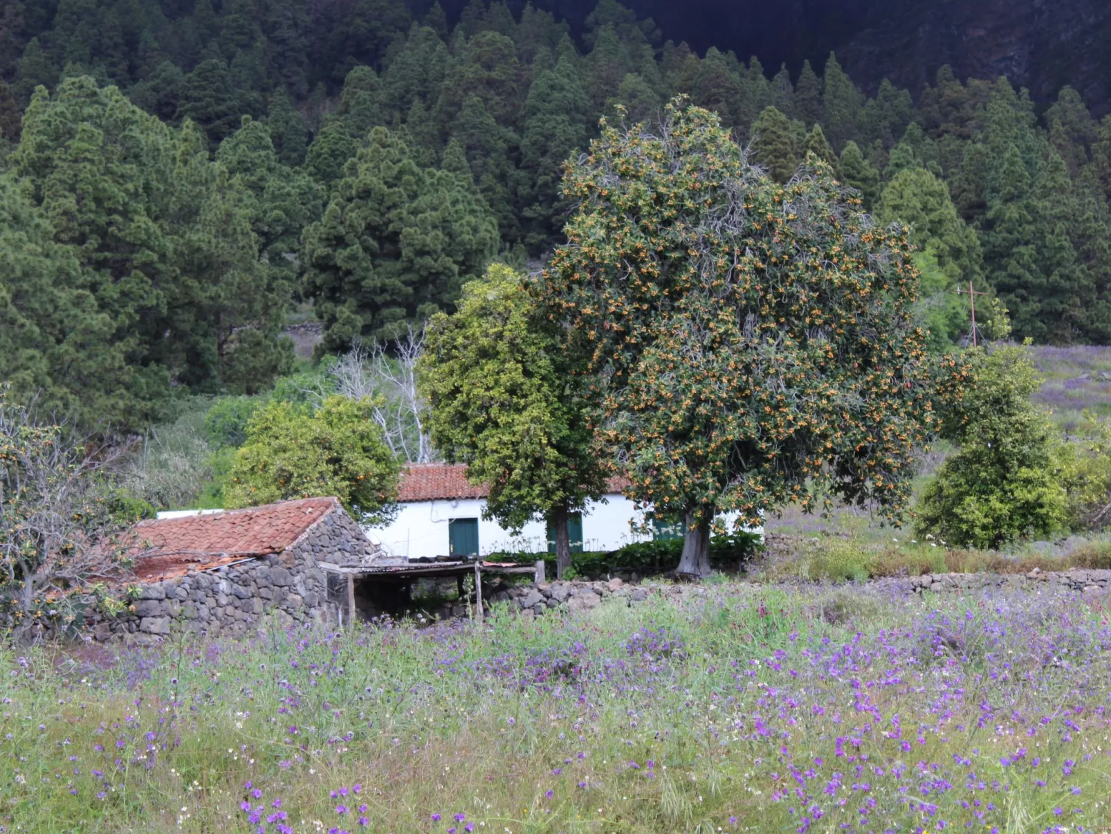 In Monte Breñas mit Grill, Terrasse und Garten