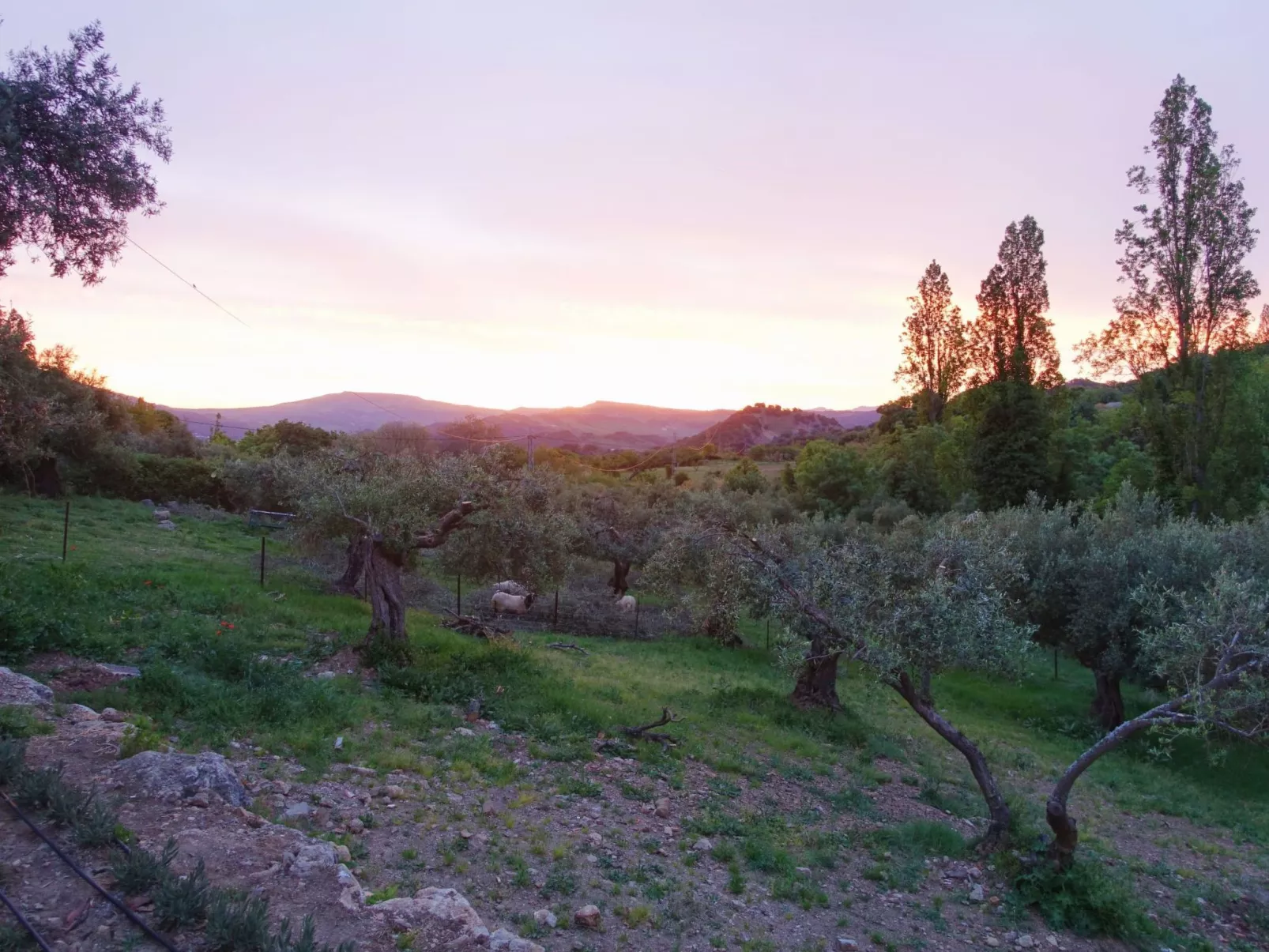 Gemütliches Landhaus Betania in Grazalema