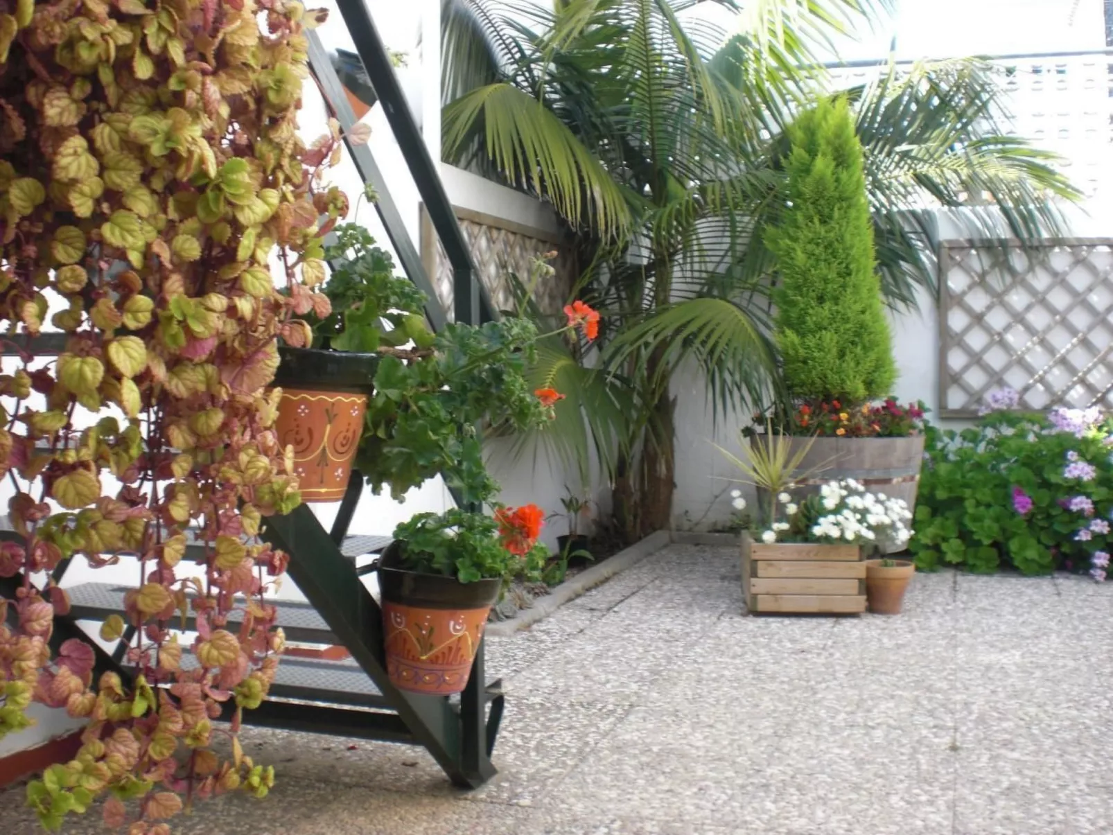 Penthouse. Klimatisierung. Strand und Sonne das ganze Jahr über