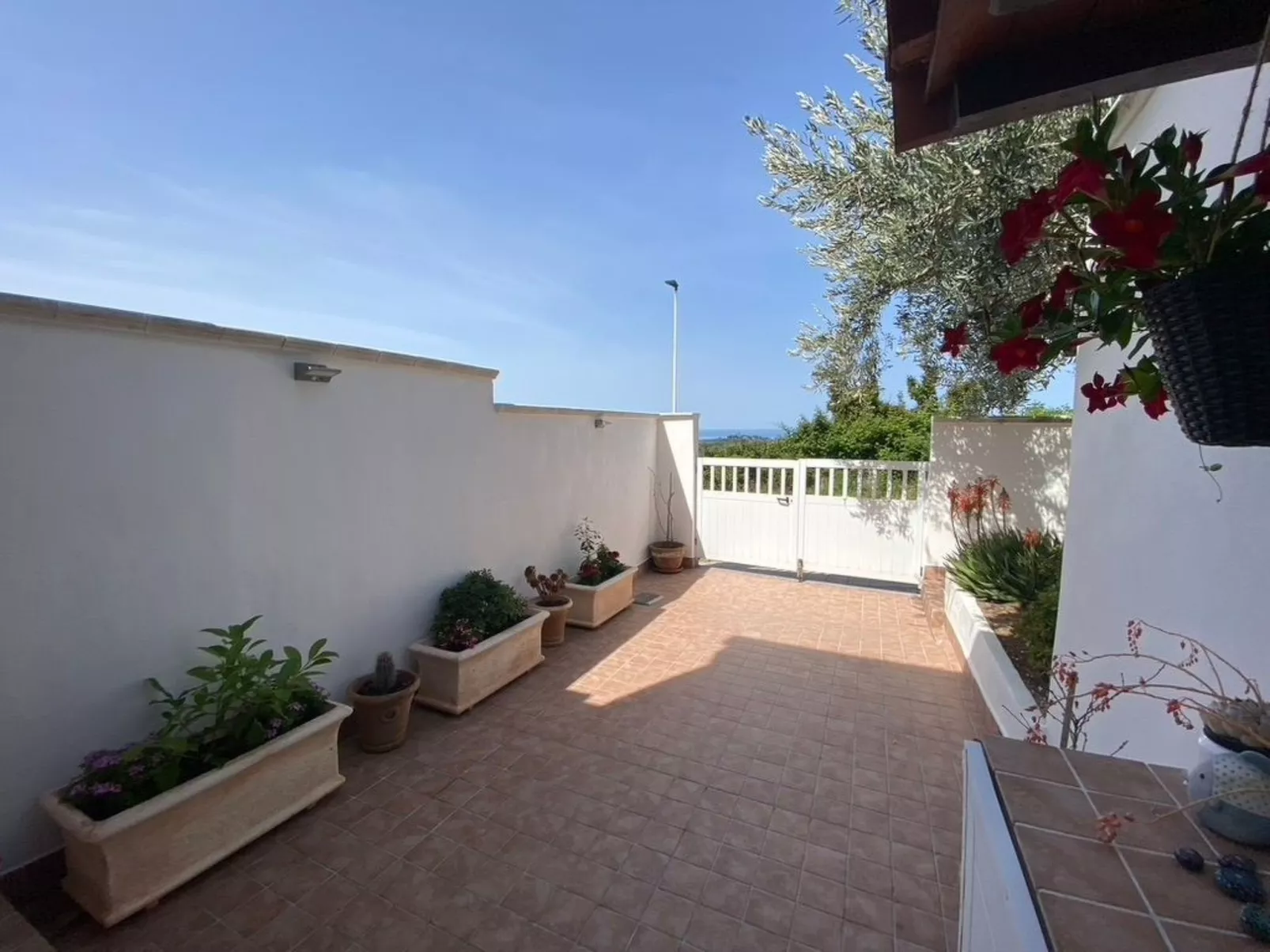 'Sardinia Sunshine-Image-tags.info