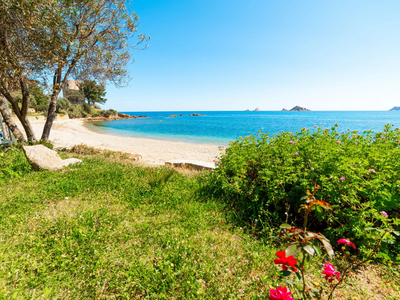 Haustierfreundliches Apartment, mit Meerblick-Omgeving