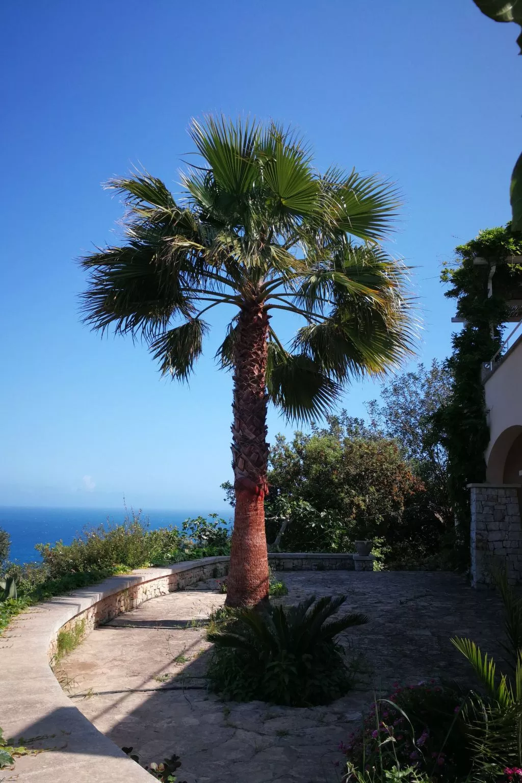 In Gagliano Del Capo mit Privatem Pool-Buiten