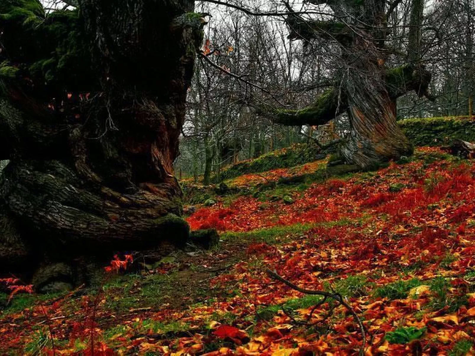 Ideales Refugium in Extremadura Komfort und Natur-Buiten