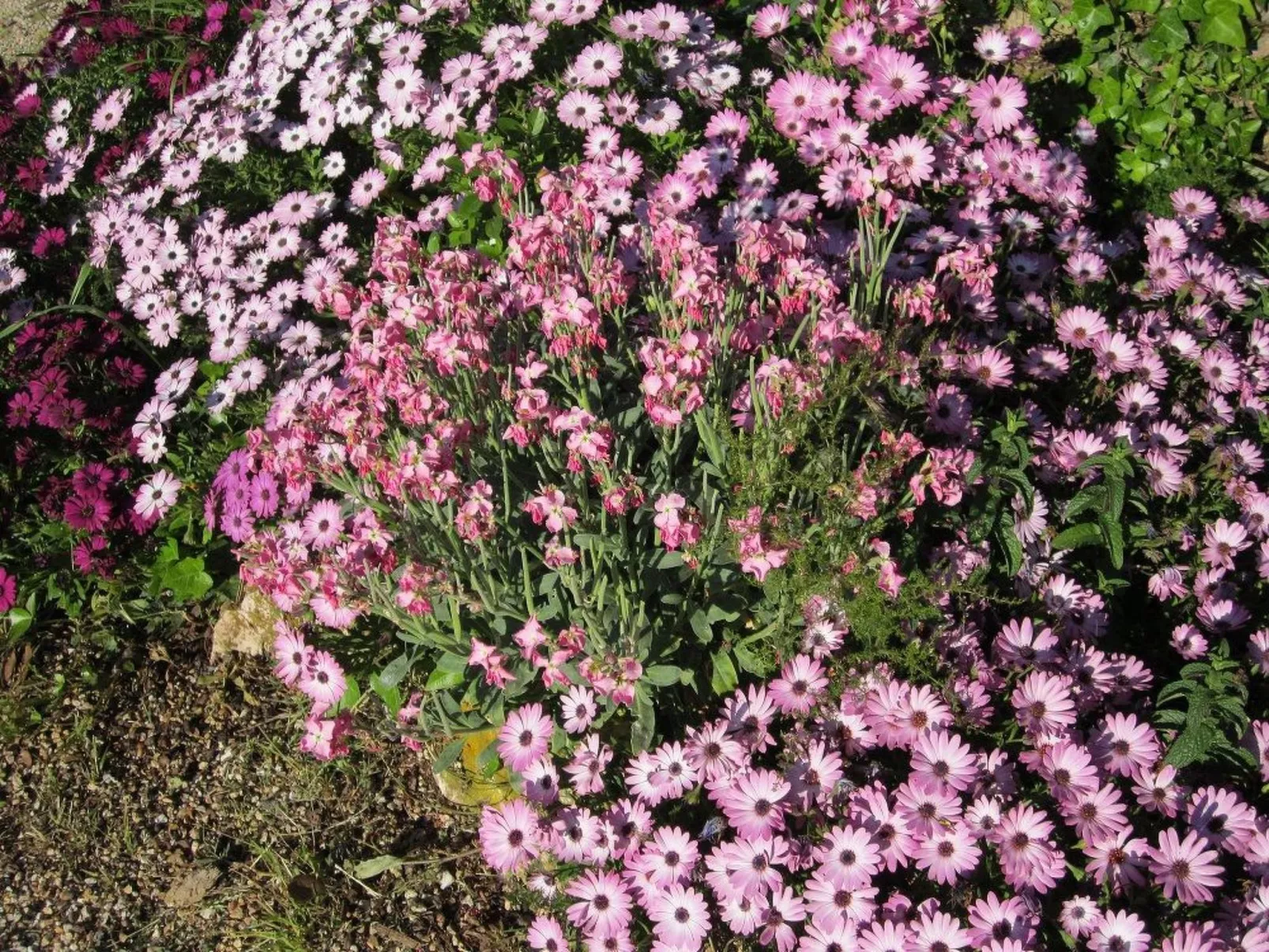 Wohnung mit Wasserblick