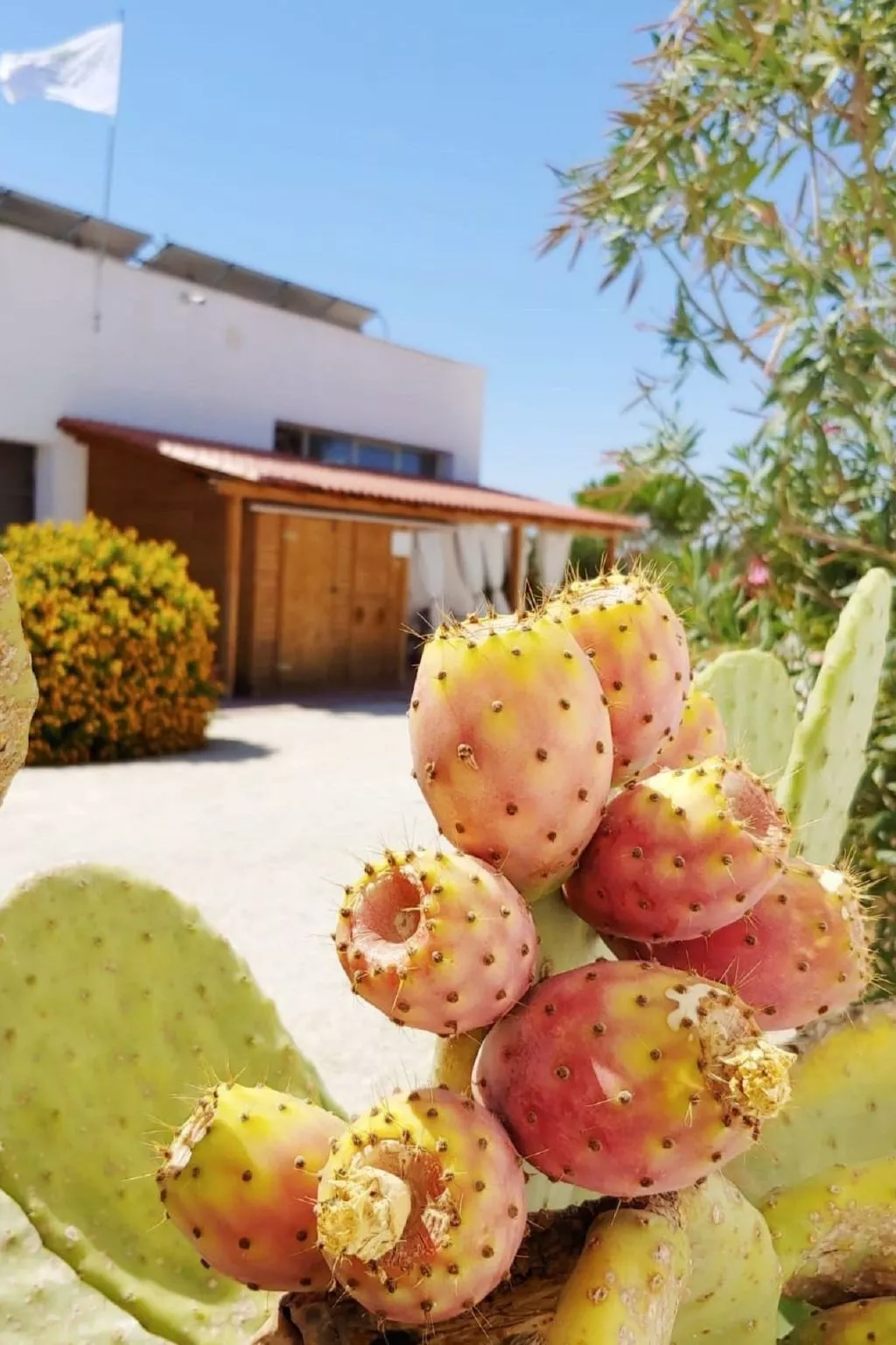 Appartement in Marsala mit gemeinschaftlichem Pool, Grill und Garten