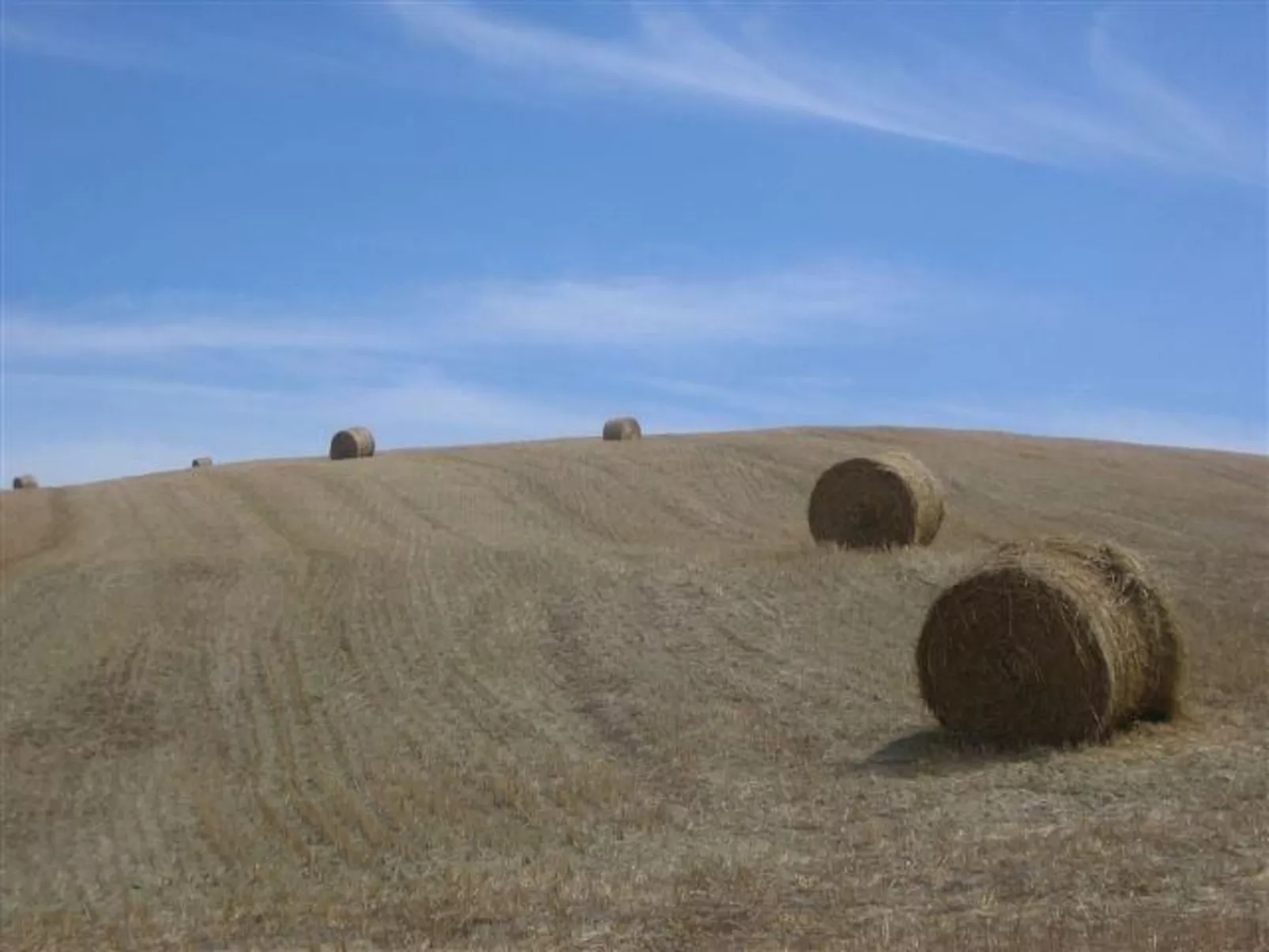 Natur, ökologische Nachhaltigkeit, nur für Erwachsene, Meer in der Nähe