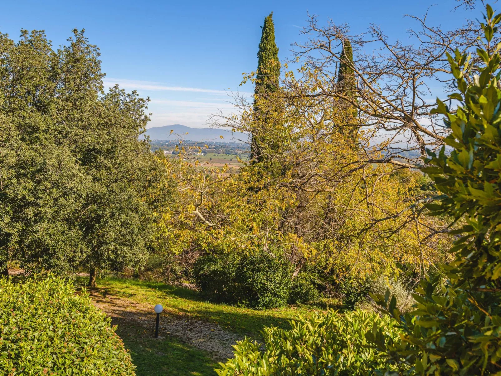 Podere Mencoini Elegante Villa mit Pool und Olivenbäumen-Buiten