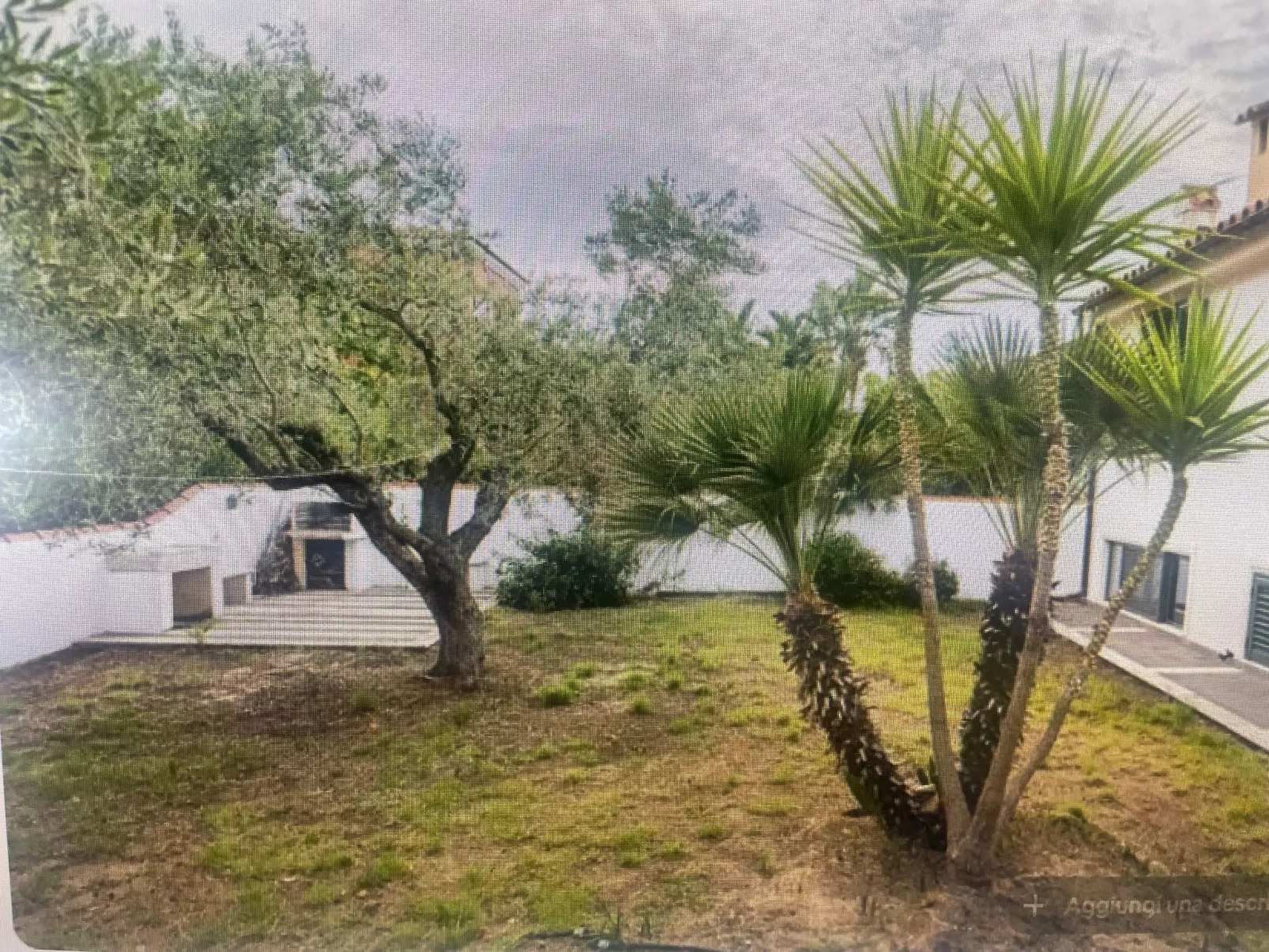 Haus der Oliven-Buiten