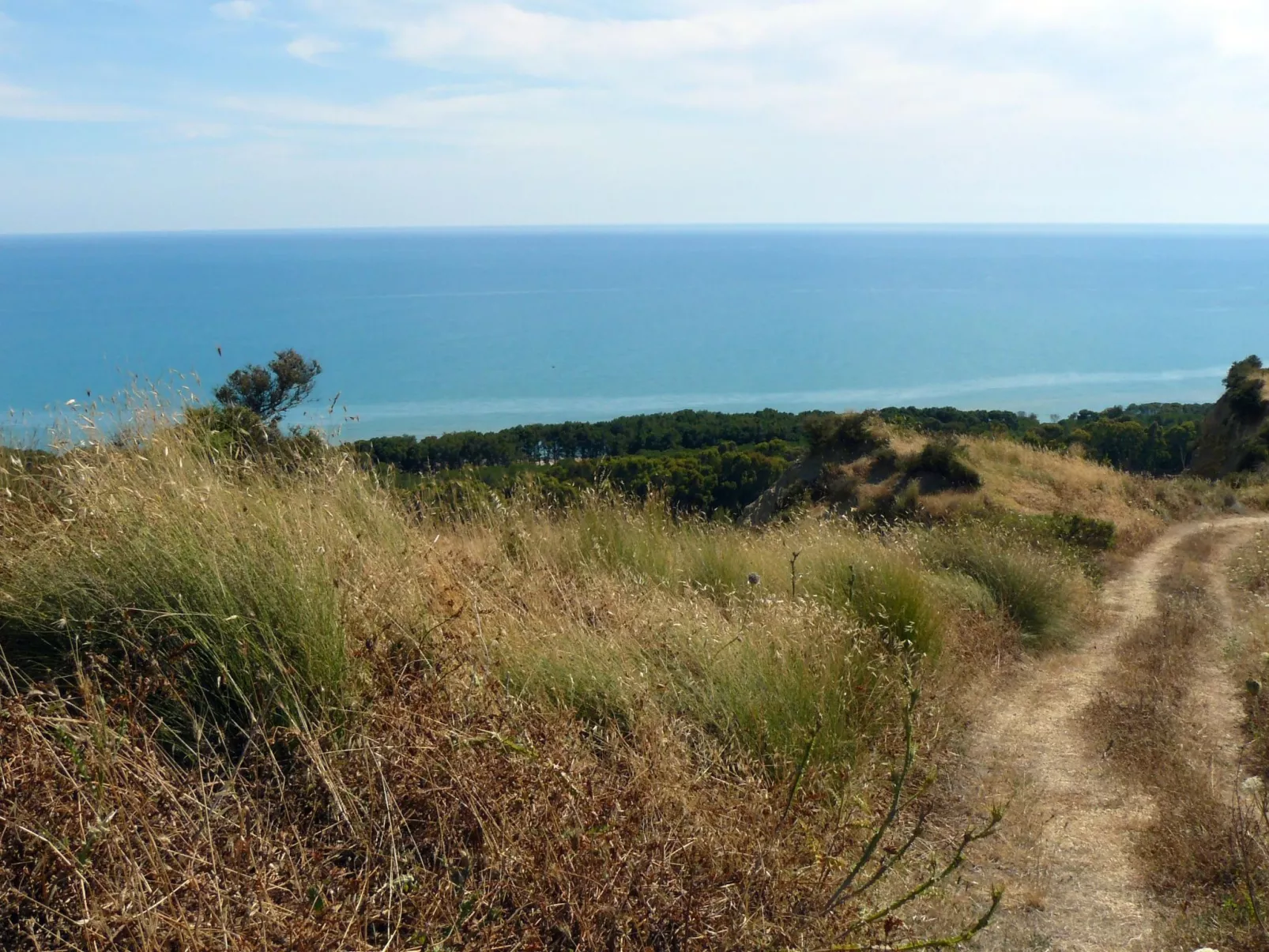 Wohnung 5 - Zwei-Zimmer-Wohnung