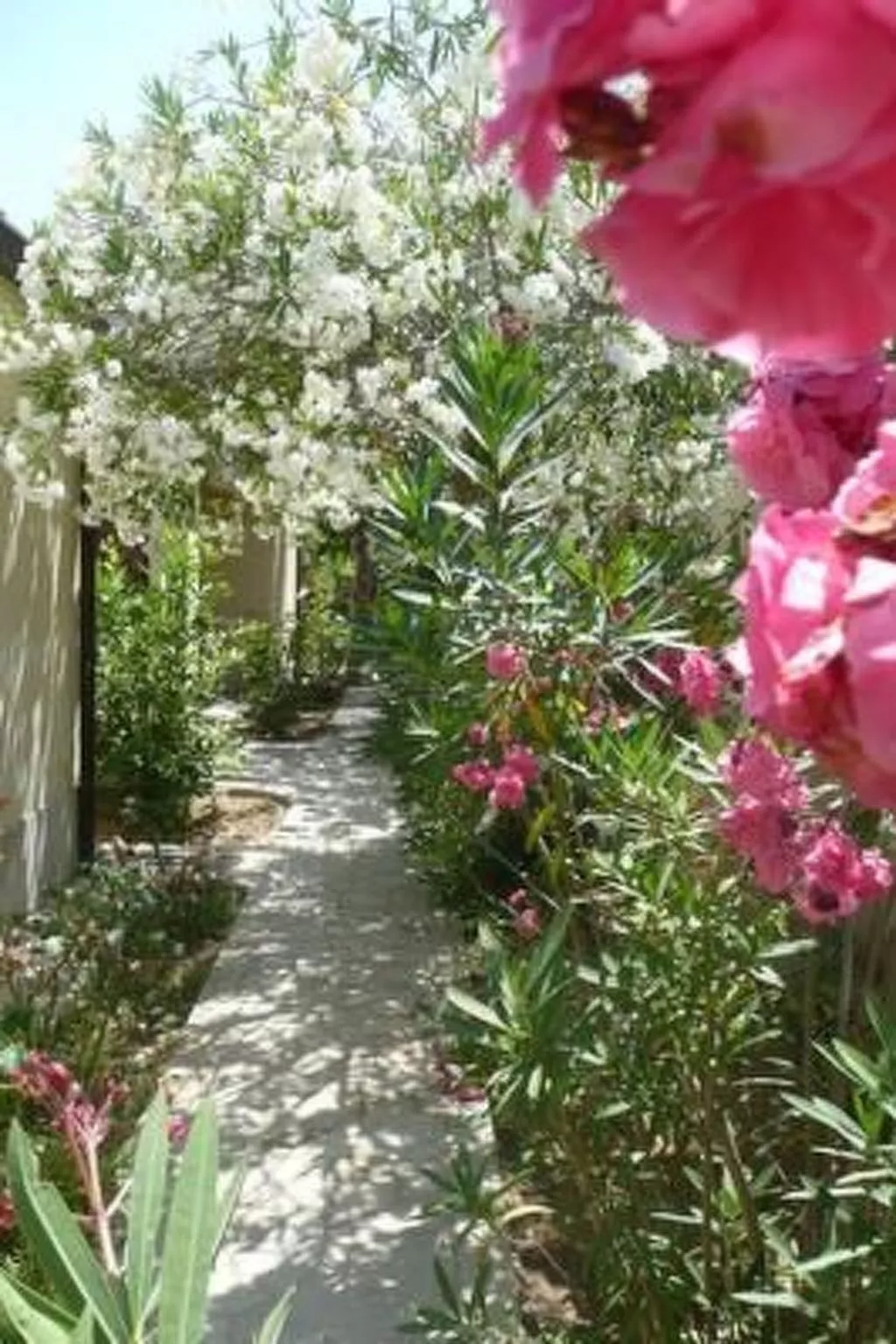 Schöner zentraler Bungalow direkt am Sandstrand auf Sizilien