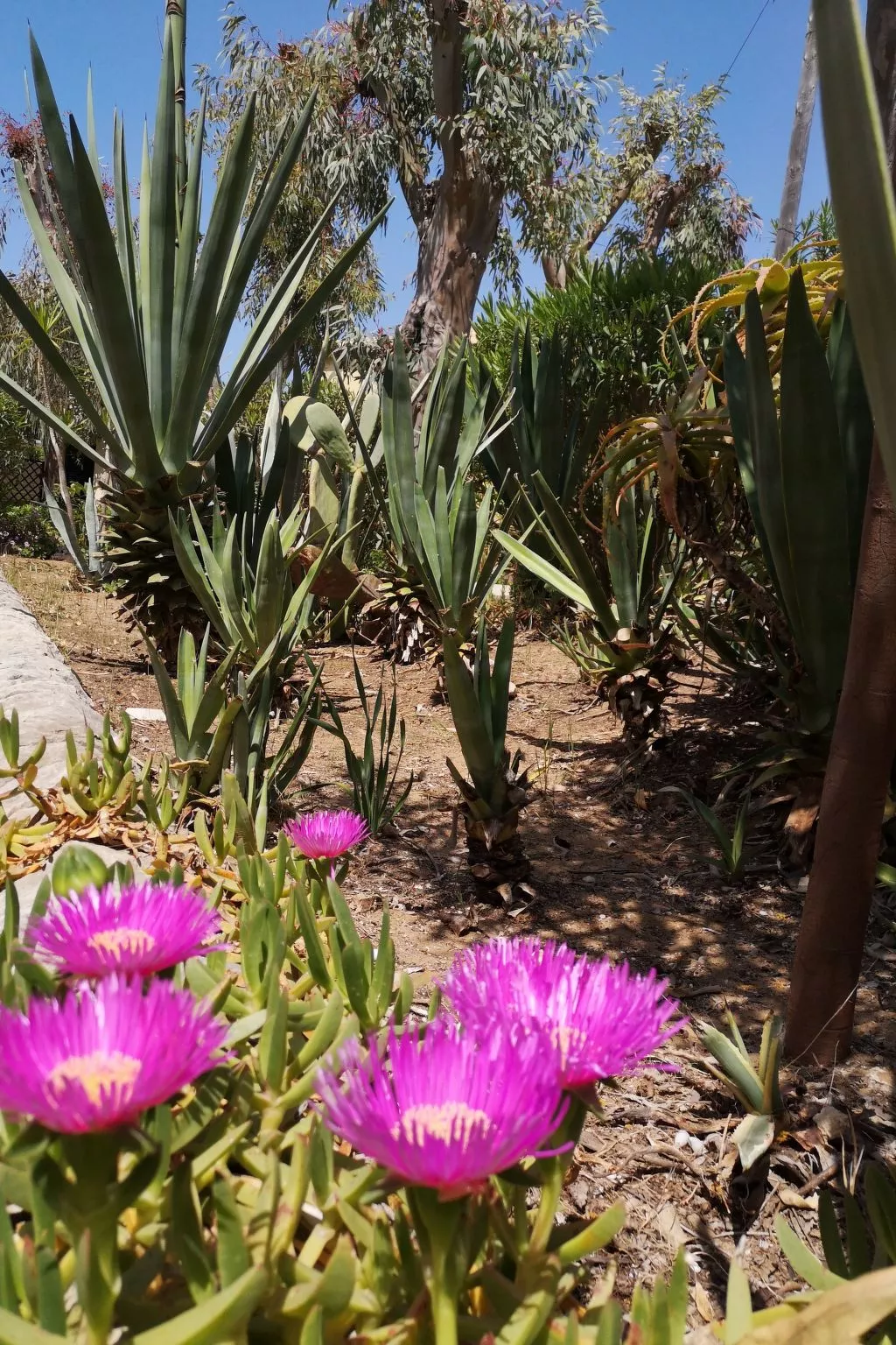 Schöner zentraler Bungalow direkt am Sandstrand auf Sizilien