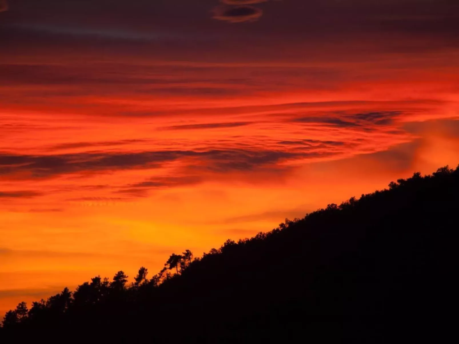 Unabhaengige Wohnung in Velva mit Garten und Grill-Buiten