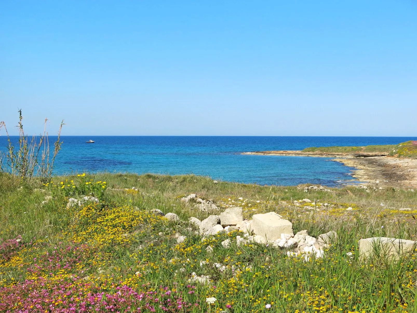 Haus Cassiopea in Ceglie Messapica Apulien-Omgeving