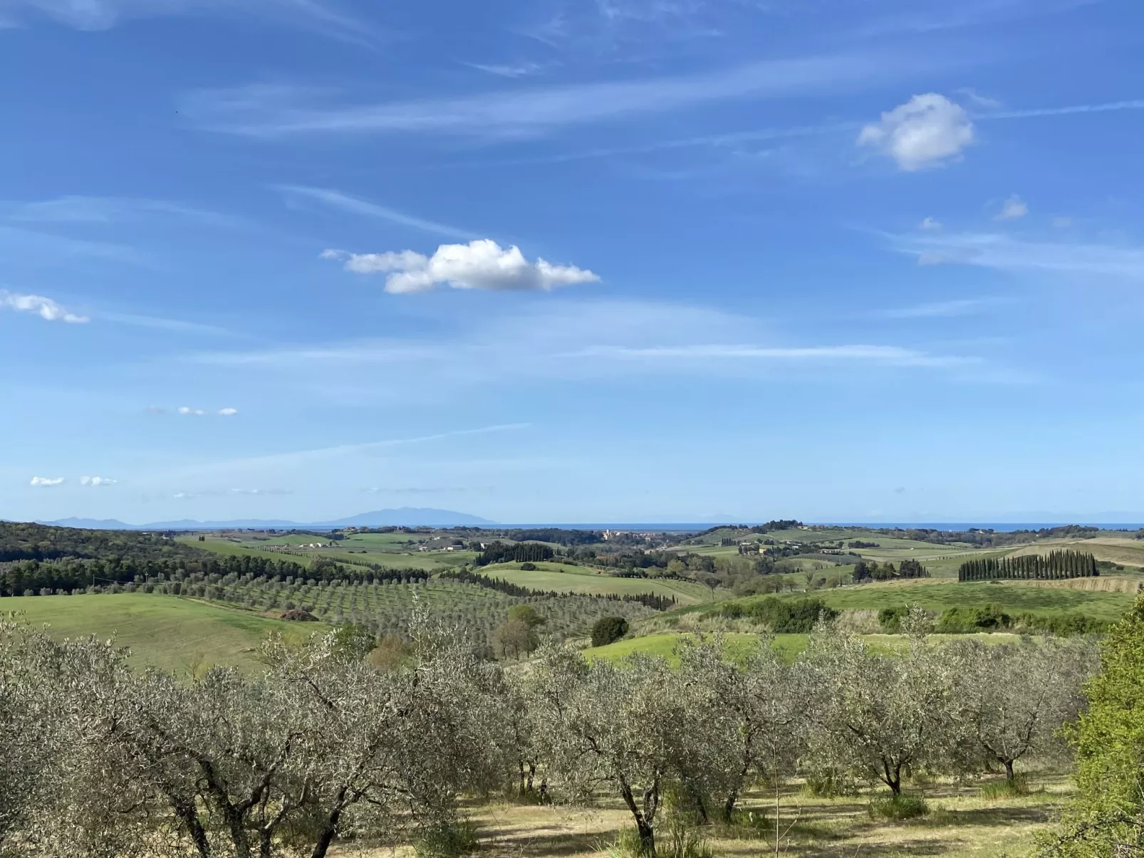 Villa mit privatem Pool in der Nähe von Bolgheri und dem Strand-Omgeving