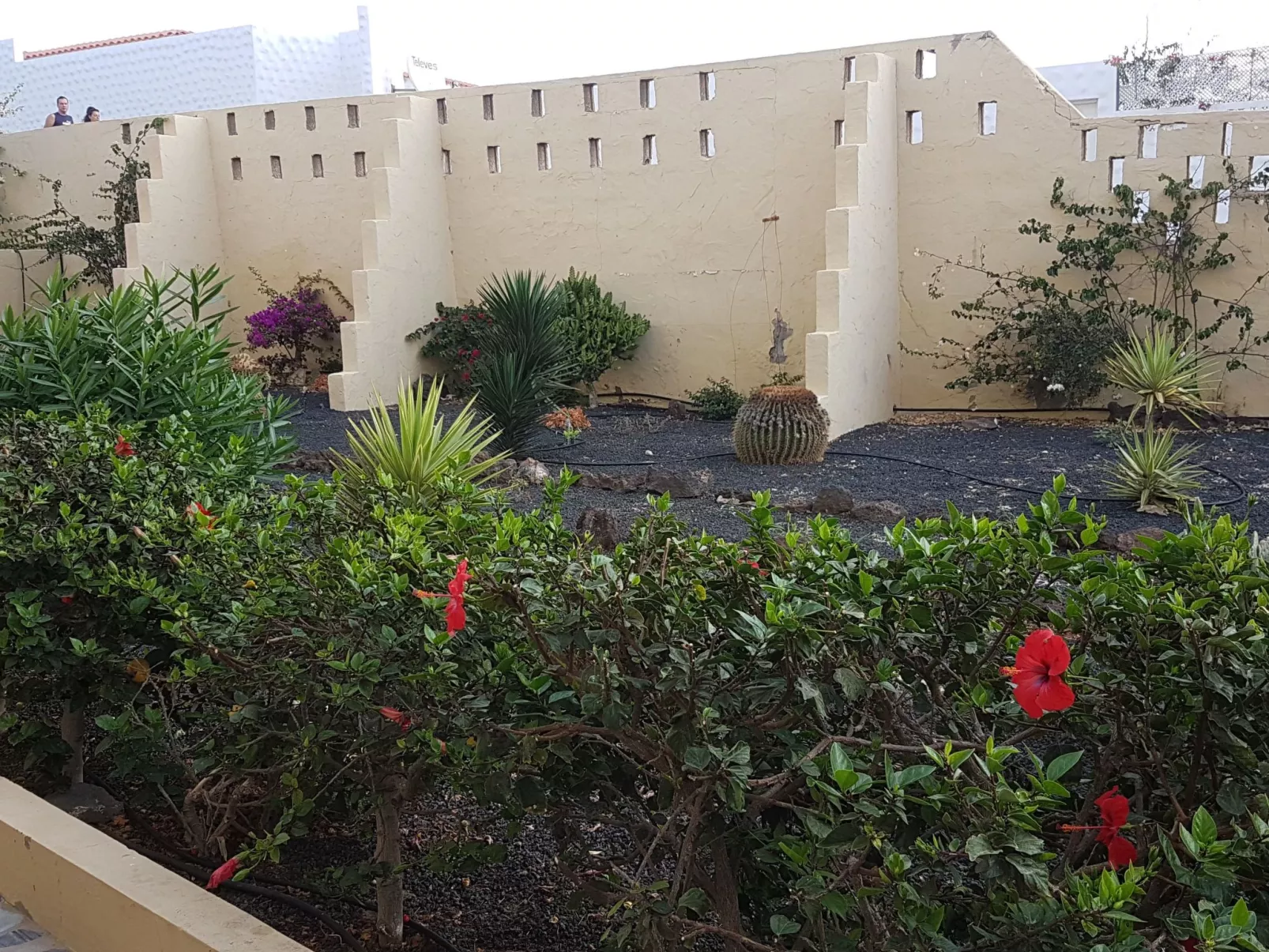 Moderne Ferienwohnung Casavovo mit Terrasse