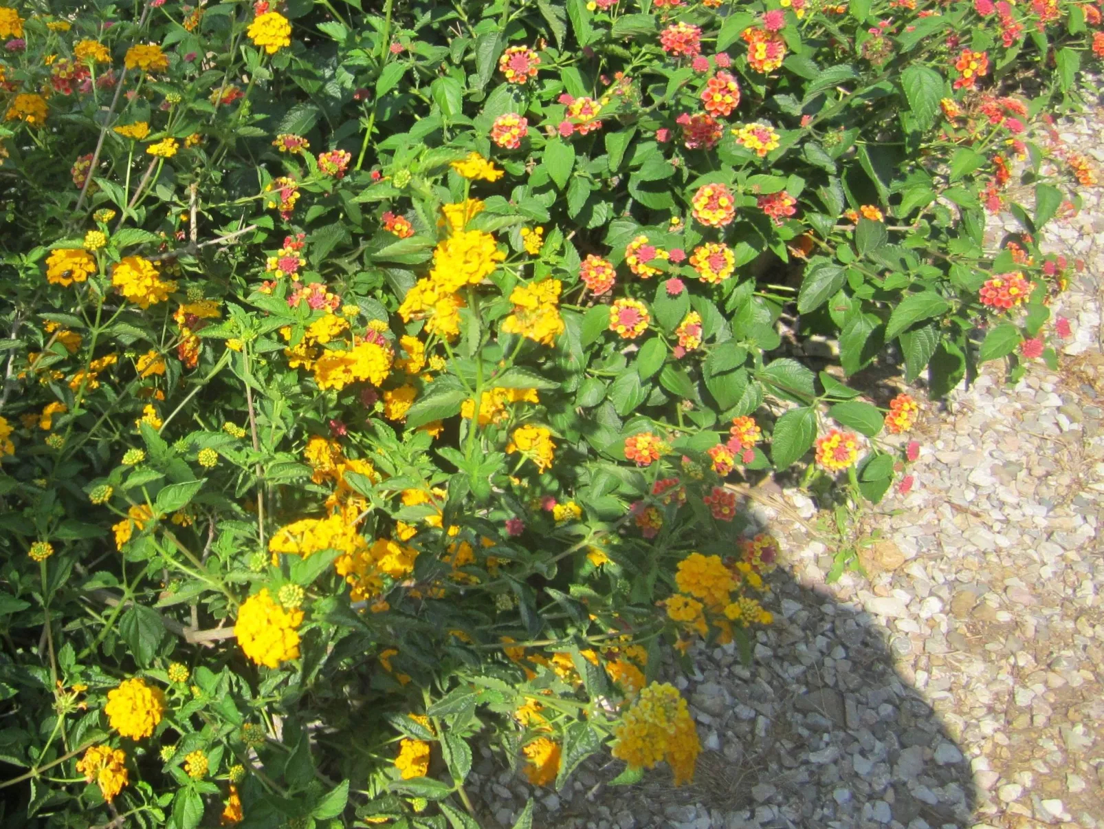Wohnung mit Wasserblick